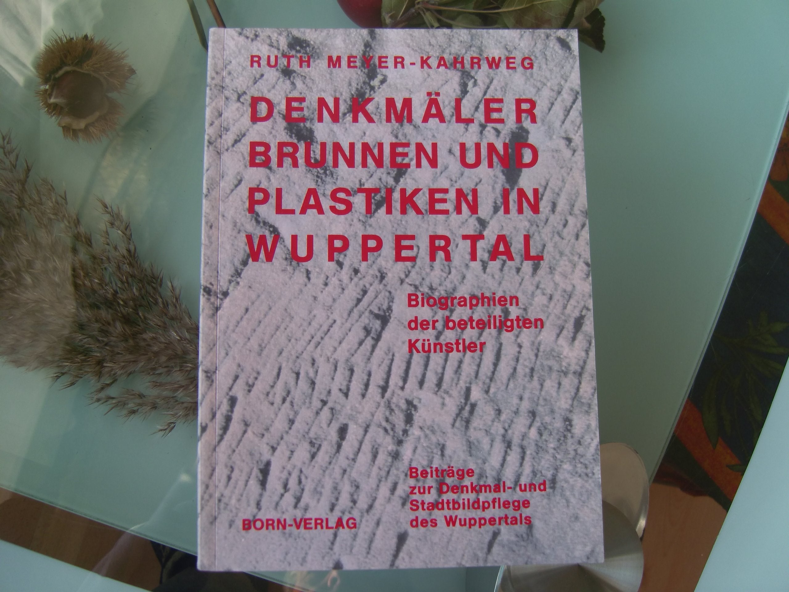 Denkmäler, Brunnen und Plastiken in Wuppertal: Biographien der beteiligten Künstler (Beiträge zur Denkmal- und Stadtbildpflege des Wuppertals) Politics & History