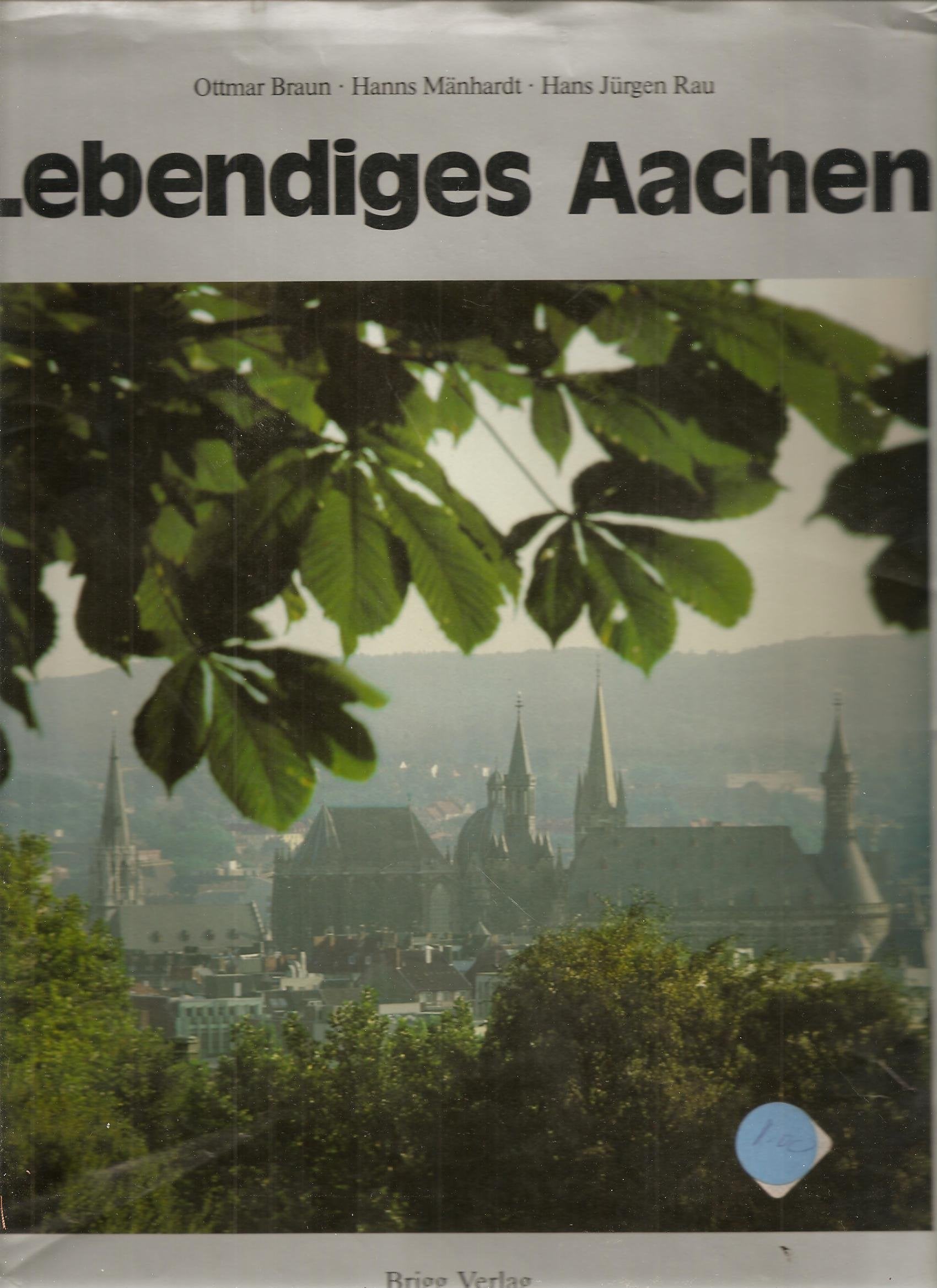 Lebendiges Aachen : Portrait einer europäischen Stadt Books