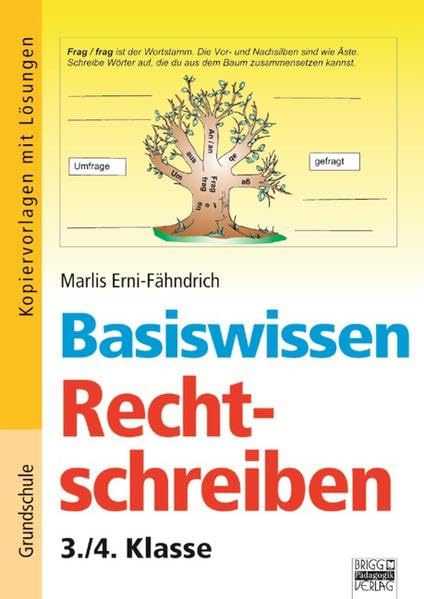 Basiswissen Rechtschreiben book