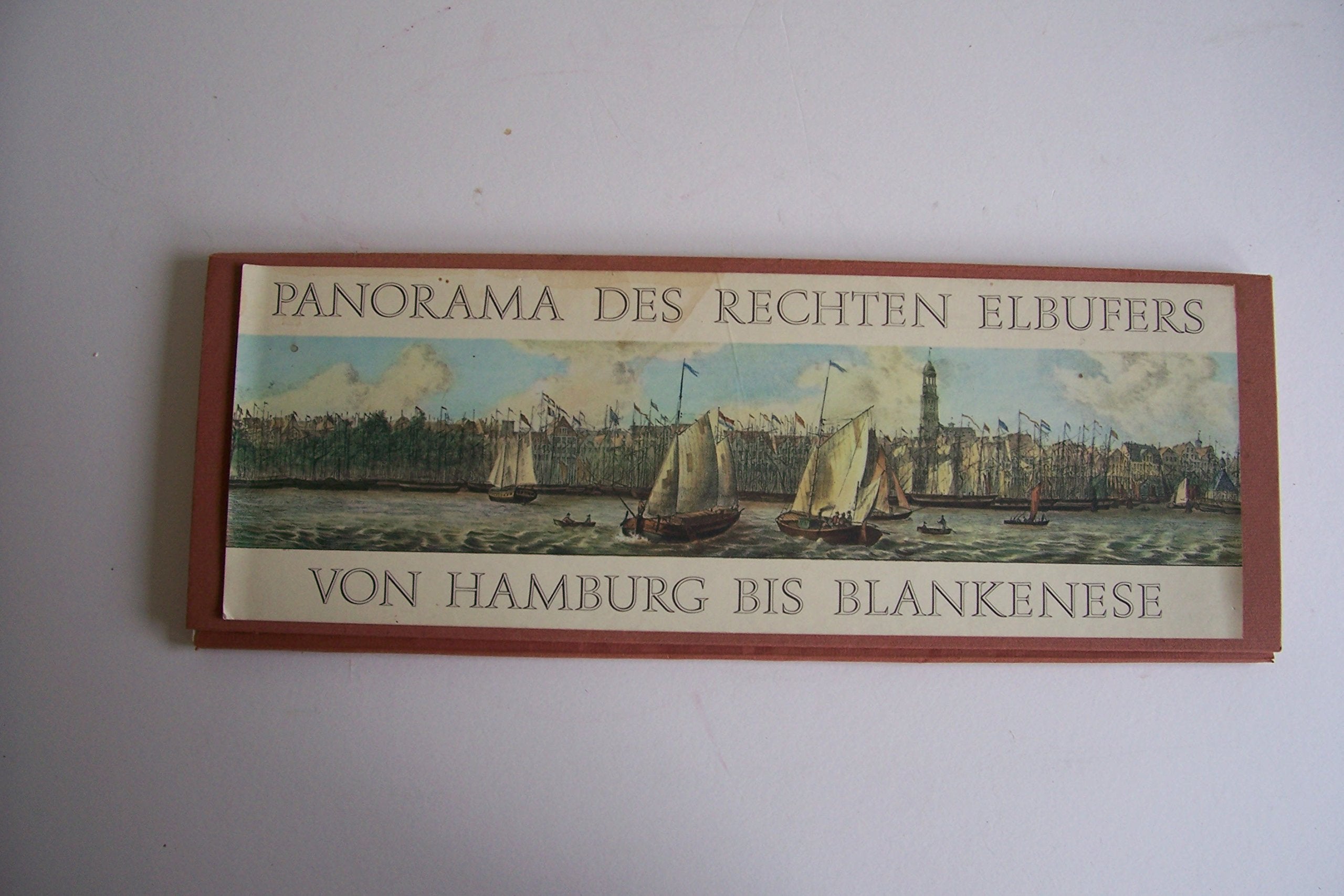 Das Panorama des rechten Elbufers von Hamburg bis Blankenese Books