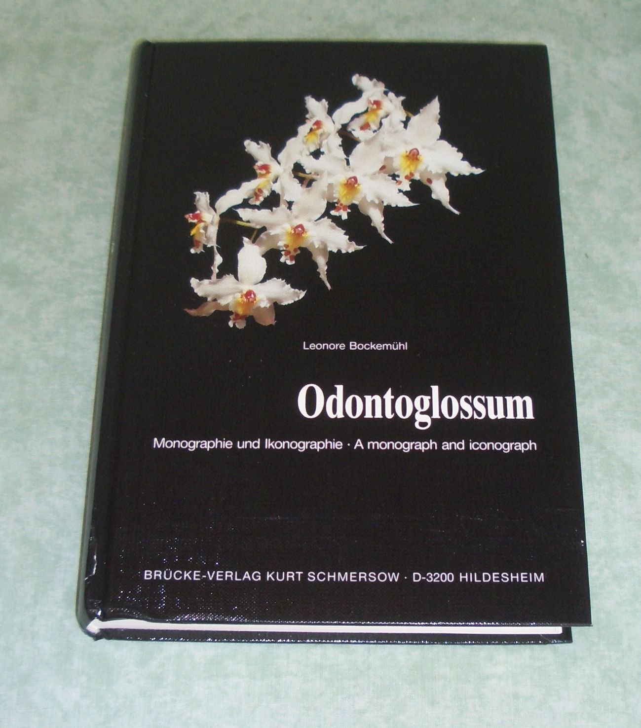 Odontoglossum: Monographie und Ikonographie. Dt. /Engl. Film, Art & Culture