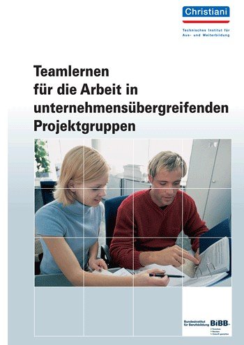 Teamlernen für die Arbeit in unternehmensübergreifenden Projektgruppen Business, Finance & Career