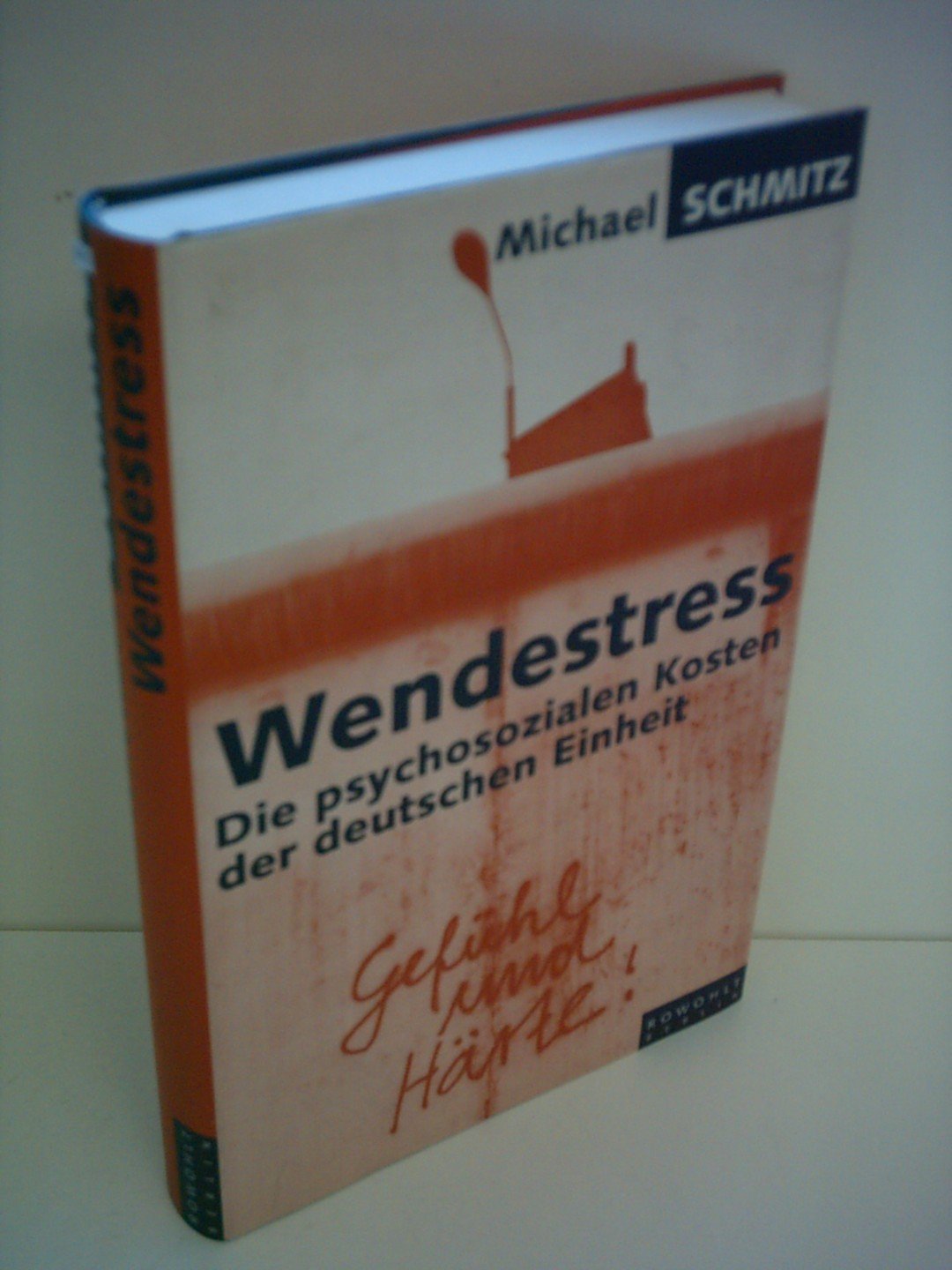 Wendestress. Die psychosozialen Kosten der deutschen Einheit Politics & History
