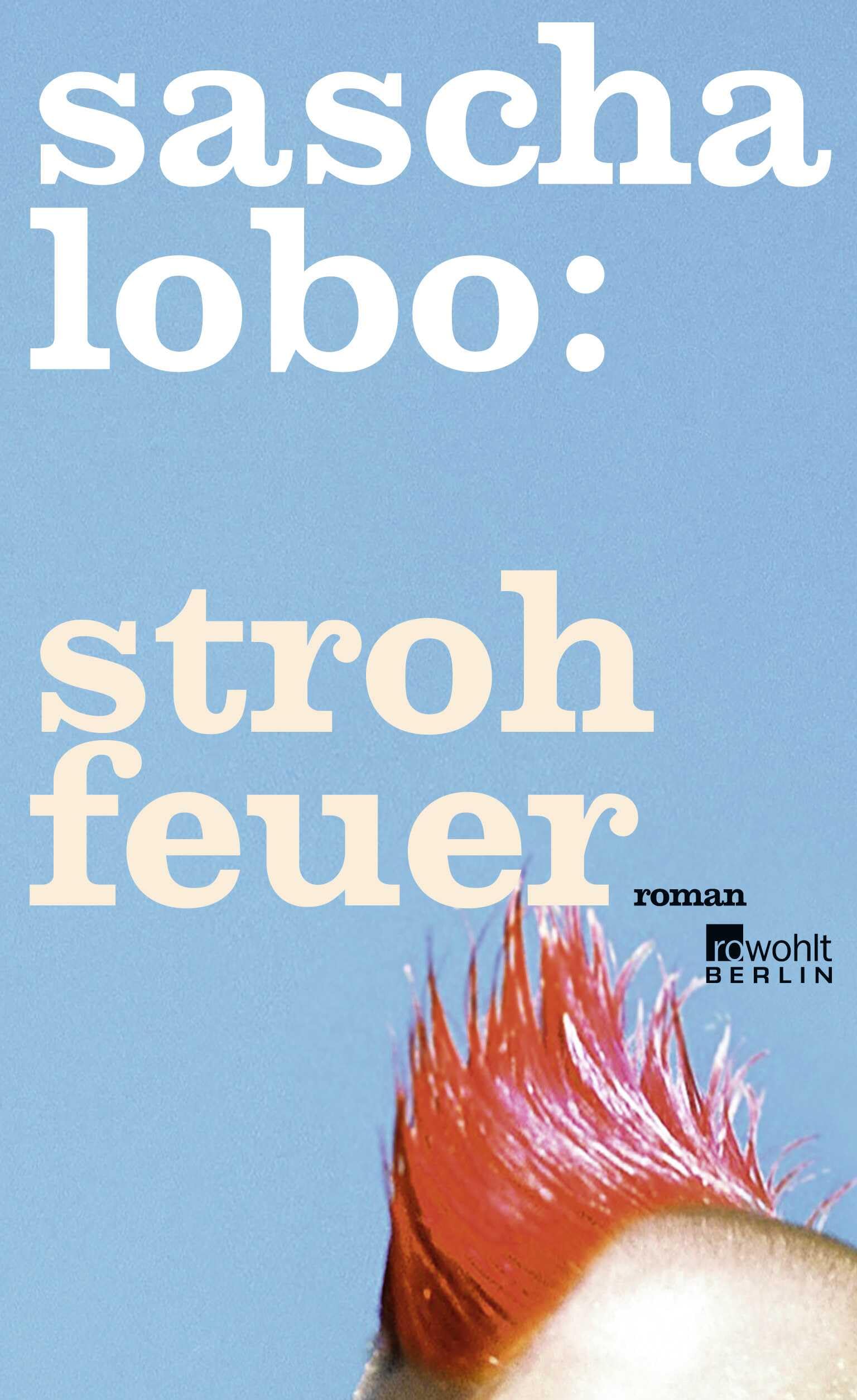 Strohfeuer Contemporary literature Books