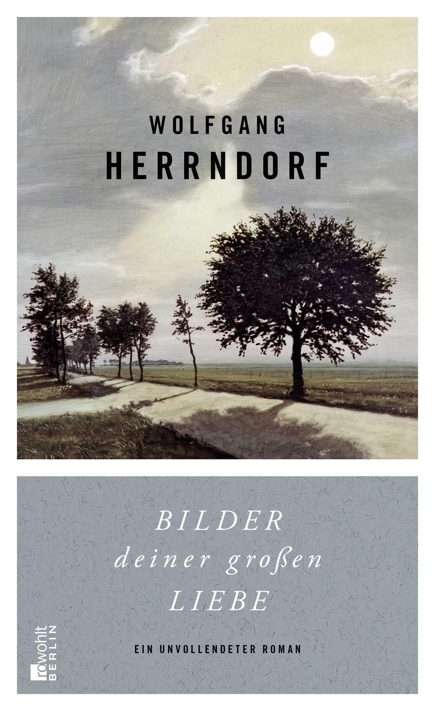 Bilder deiner großen Liebe Contemporary literature