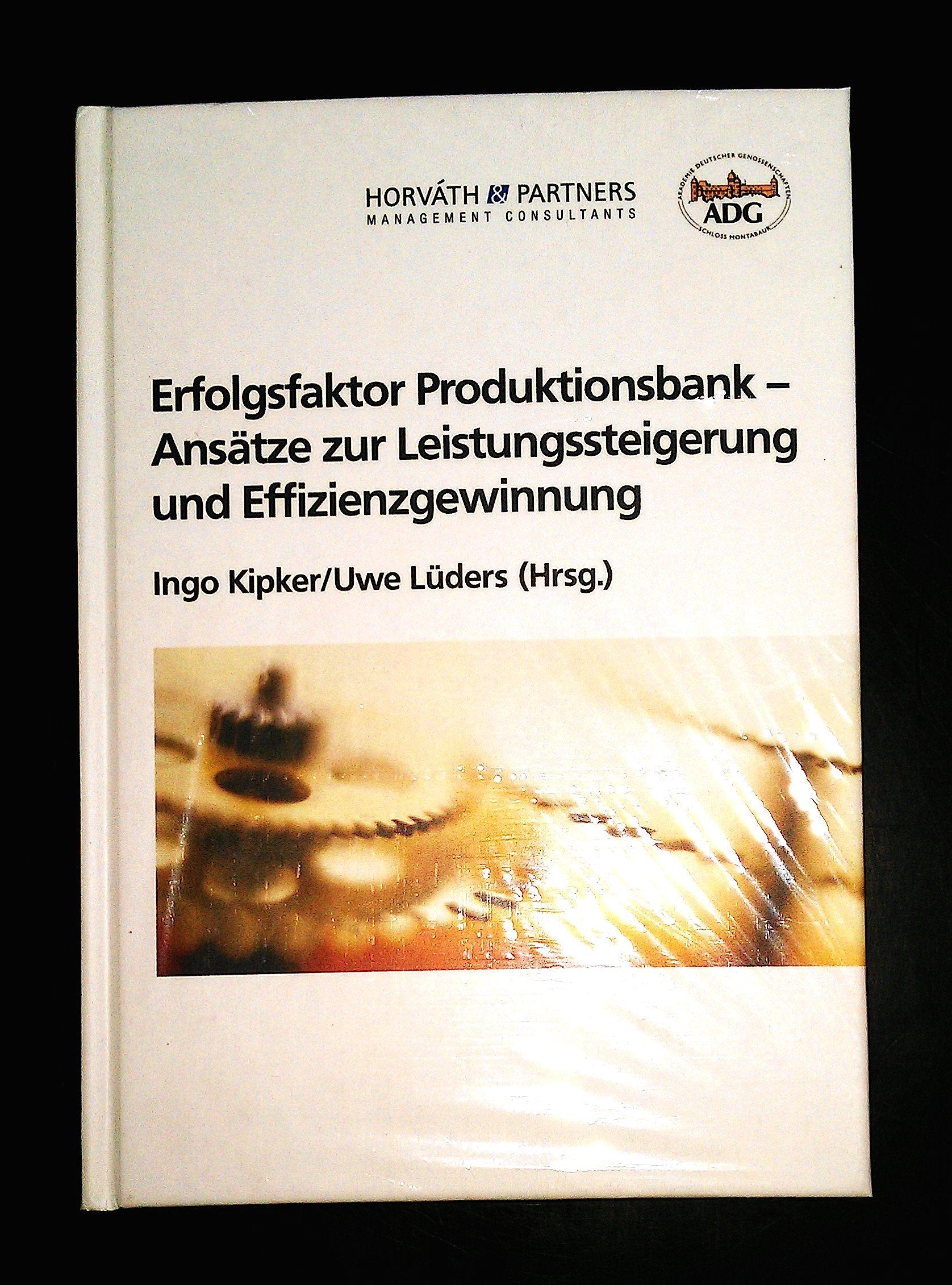 Erfolgsfaktor Produktionsbank - Ansätze zur Leistungssteigerung und Effizienzgewinnung Law