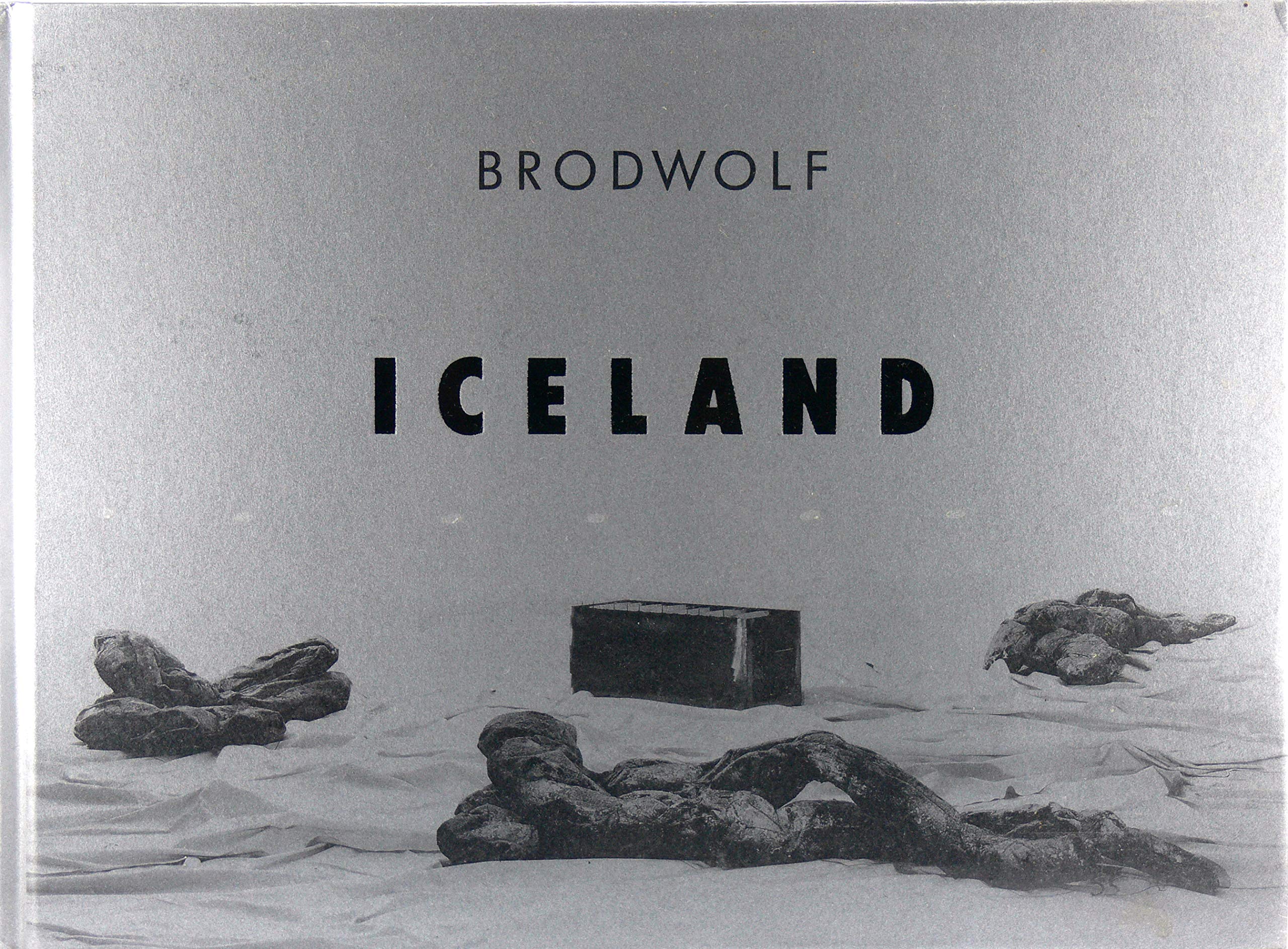 Iceland: Buch zur Ausstellung in der Kunsthalle Mannheim 1999 Film, Art & Culture