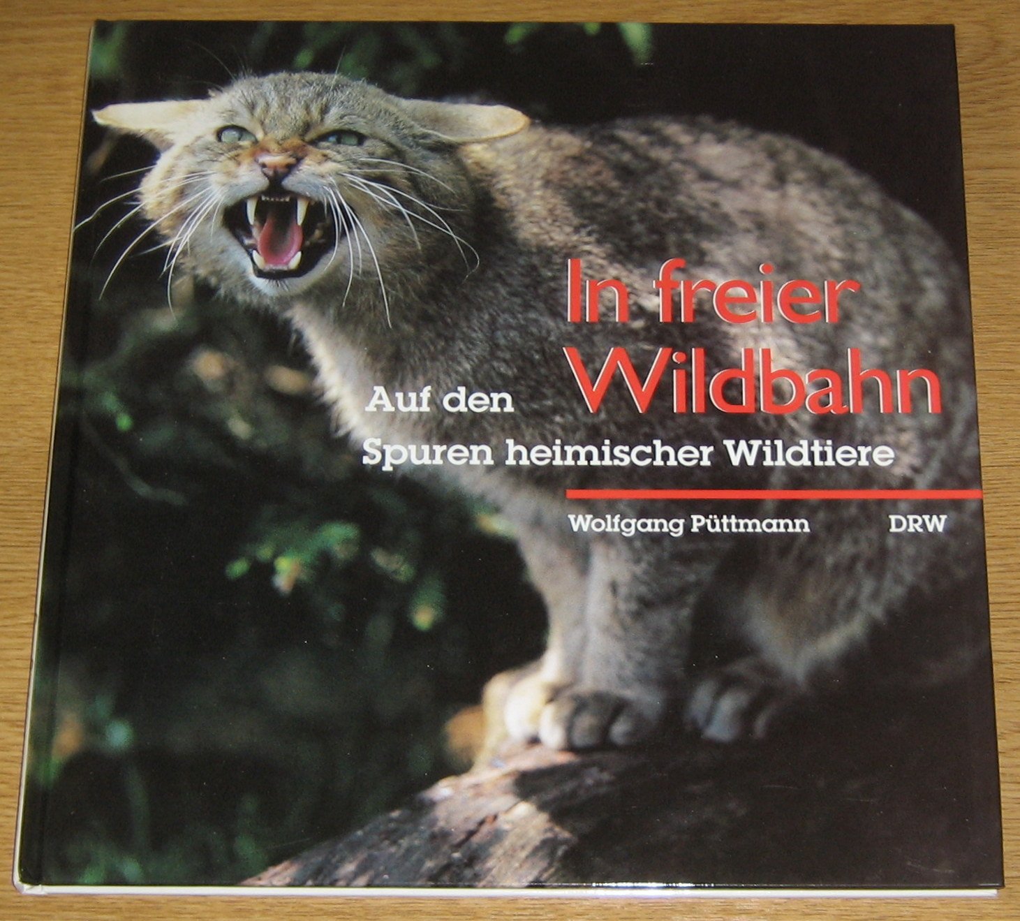 In freier Wildbahn. Auf den Spuren heimischer Wildtiere. Books