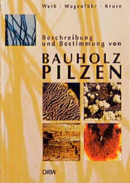 Beschreibung und Bestimmung von Bauholzpilzen Home & Household