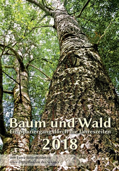 Baum und Wald 2018: Ein Spaziergang durch die Jahreszeiten Leisure, Home & Garden