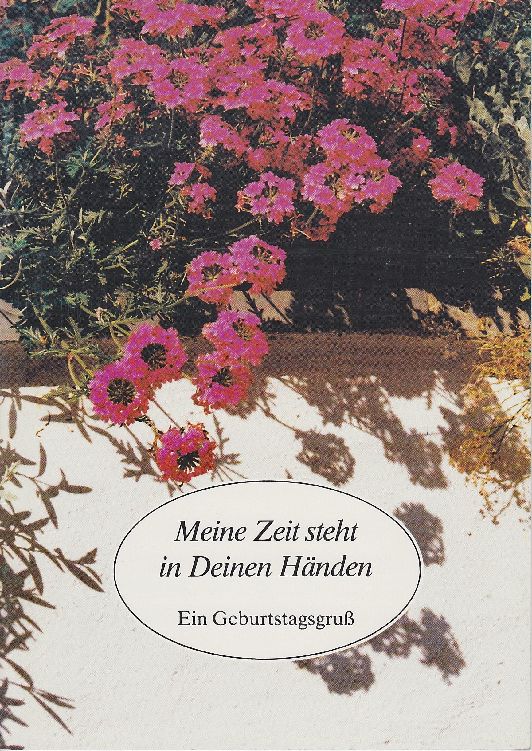 Meine Zeit steht in deinen Händen: Ein Geburtstagsgruss Religion & Esotericism