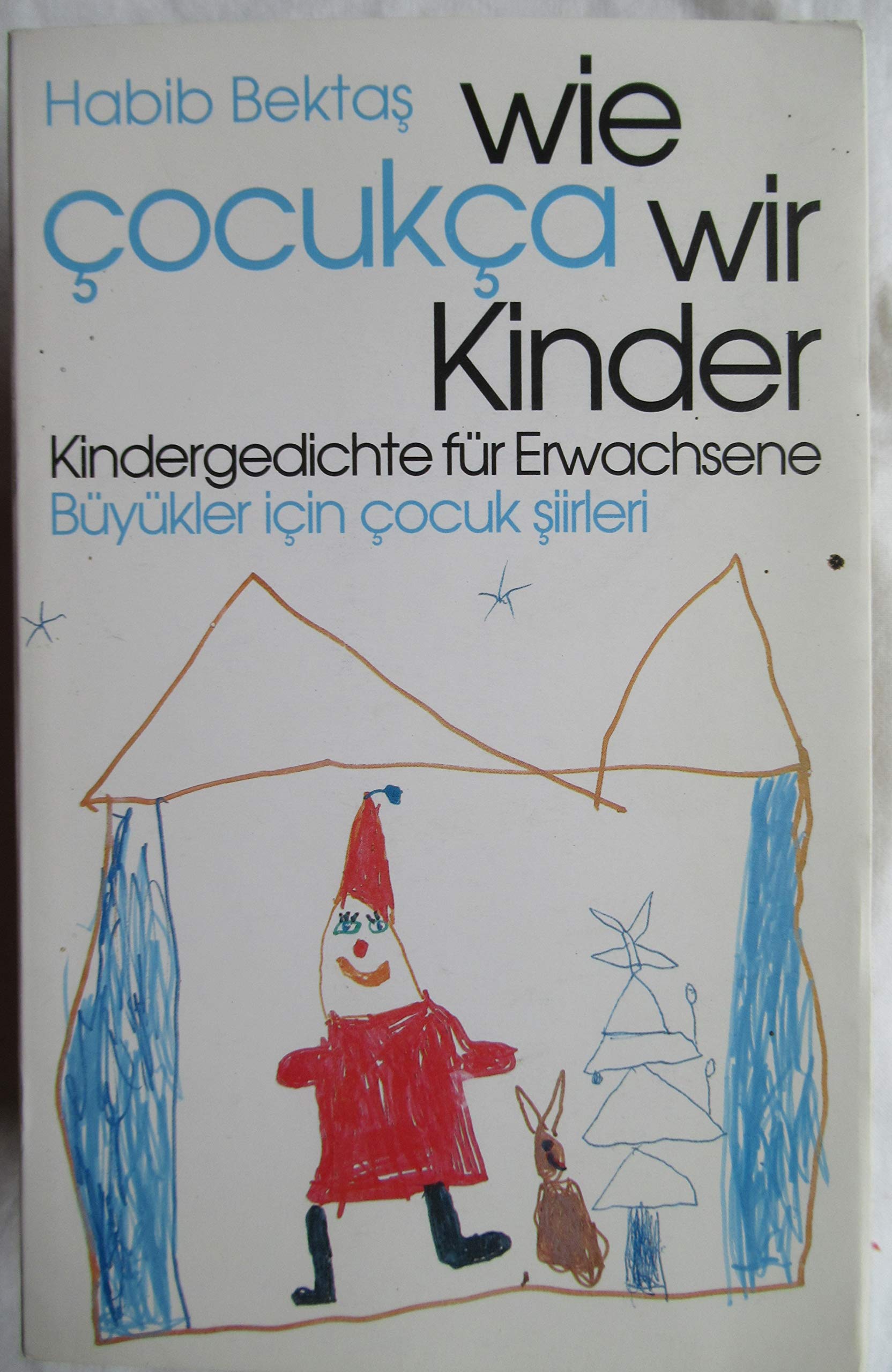 Wie wir Kinder: Kindergedichte für Erwachsene = Çocukça Fiction