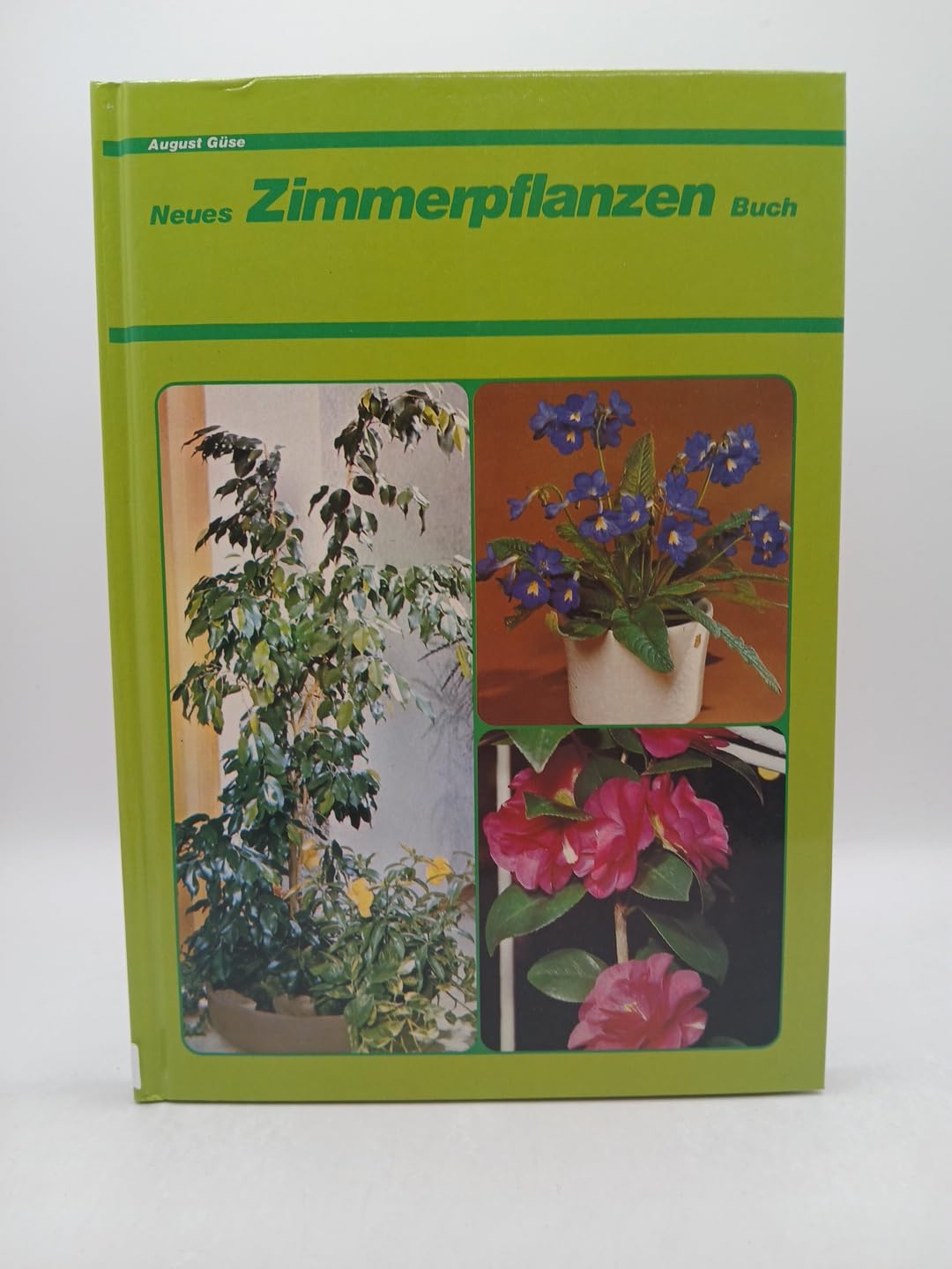 Neues Zimmerpflanzen-Buch. Pflegebuch aller Zimmerpflanzen Learning & Reference