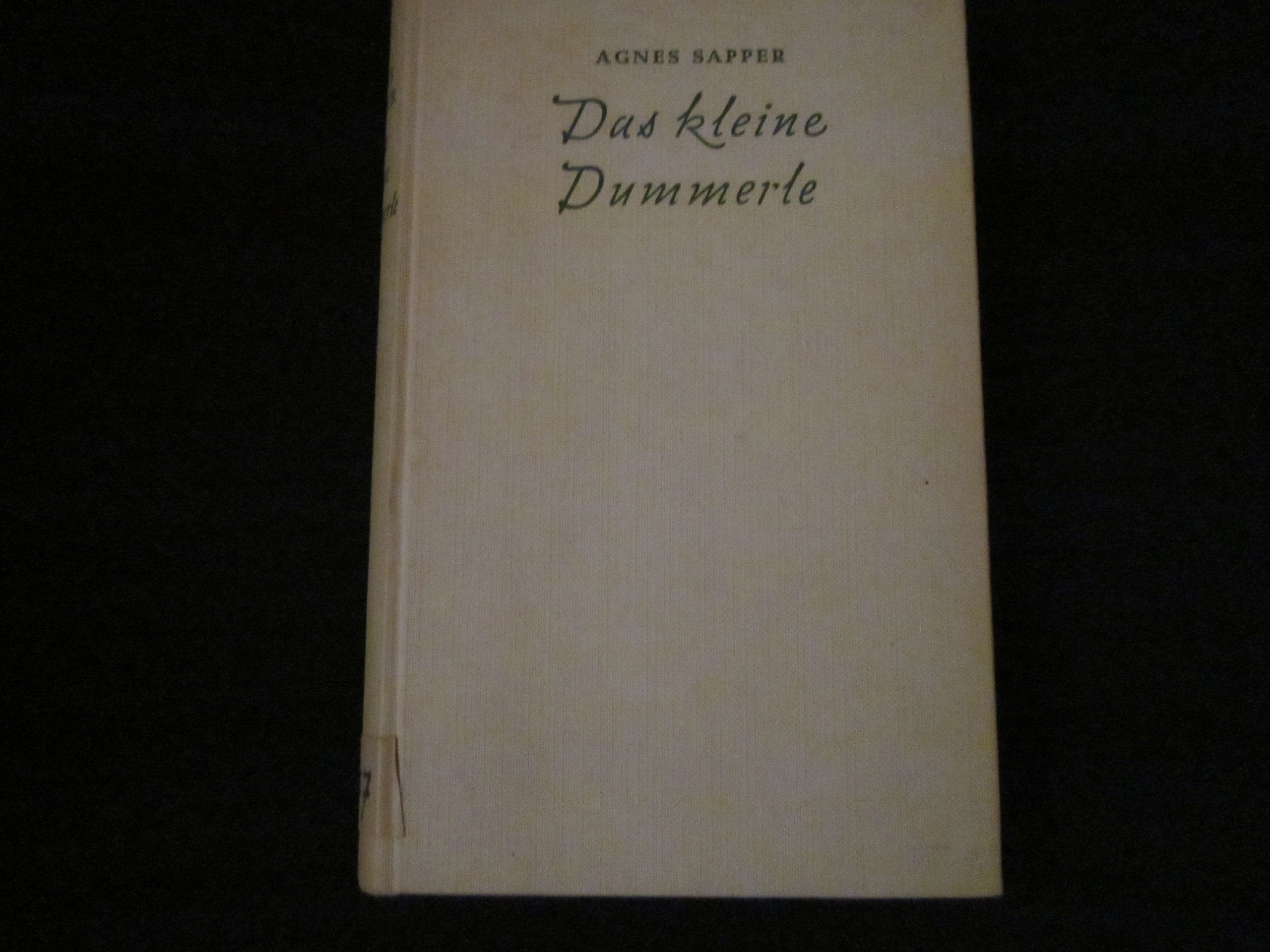 Das kleine Dummerle u. and. Erzählungen Contemporary literature