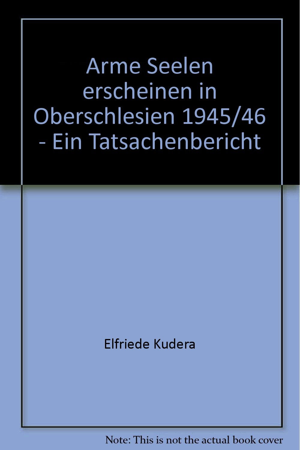 Arme Seelen erscheinen in Oberschlesien 1945/46 - Ein Tatsachenbericht book