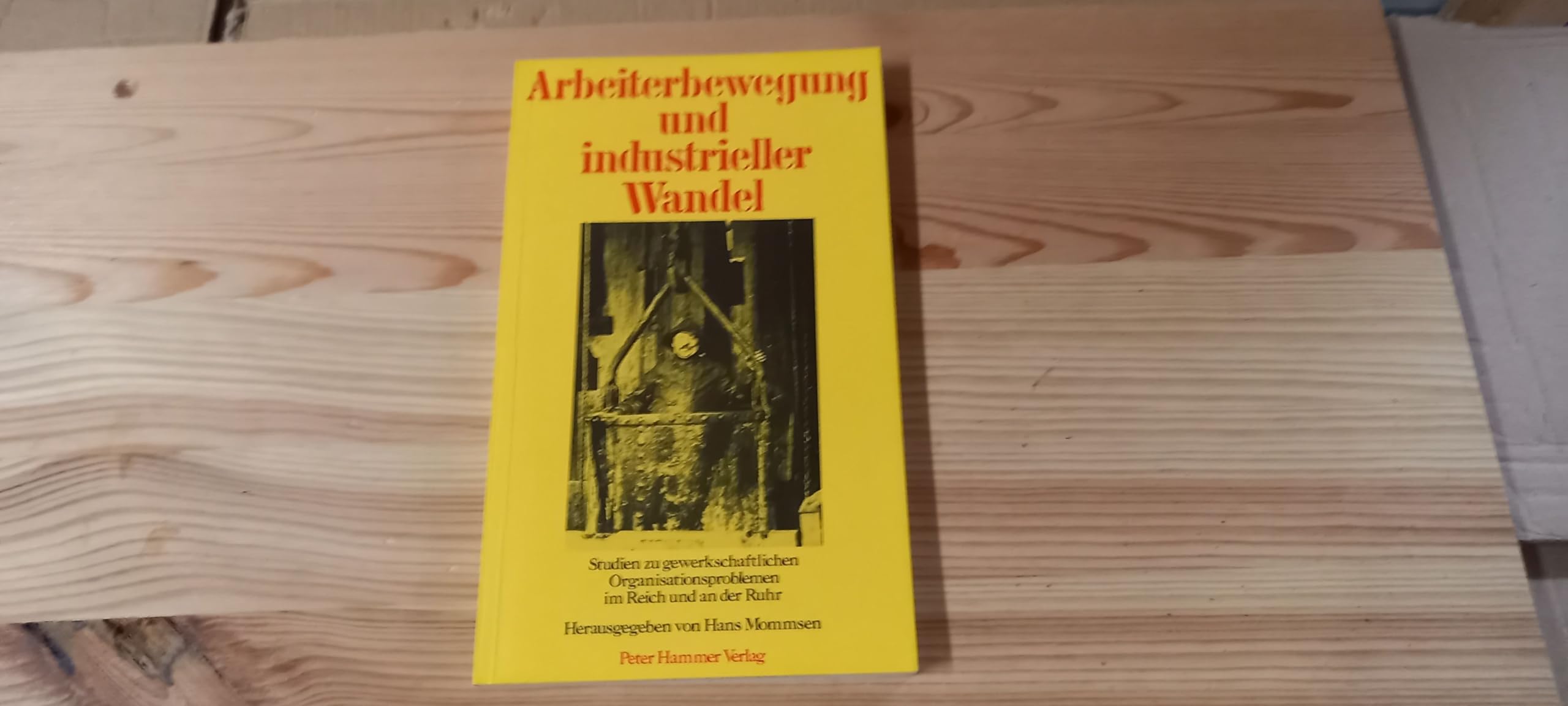 Arbeiterbewegung und industrieller Wandel : Studien zu gewerkschaftl. Organisationsproblemen im Reich u. an d. Ruhr Books