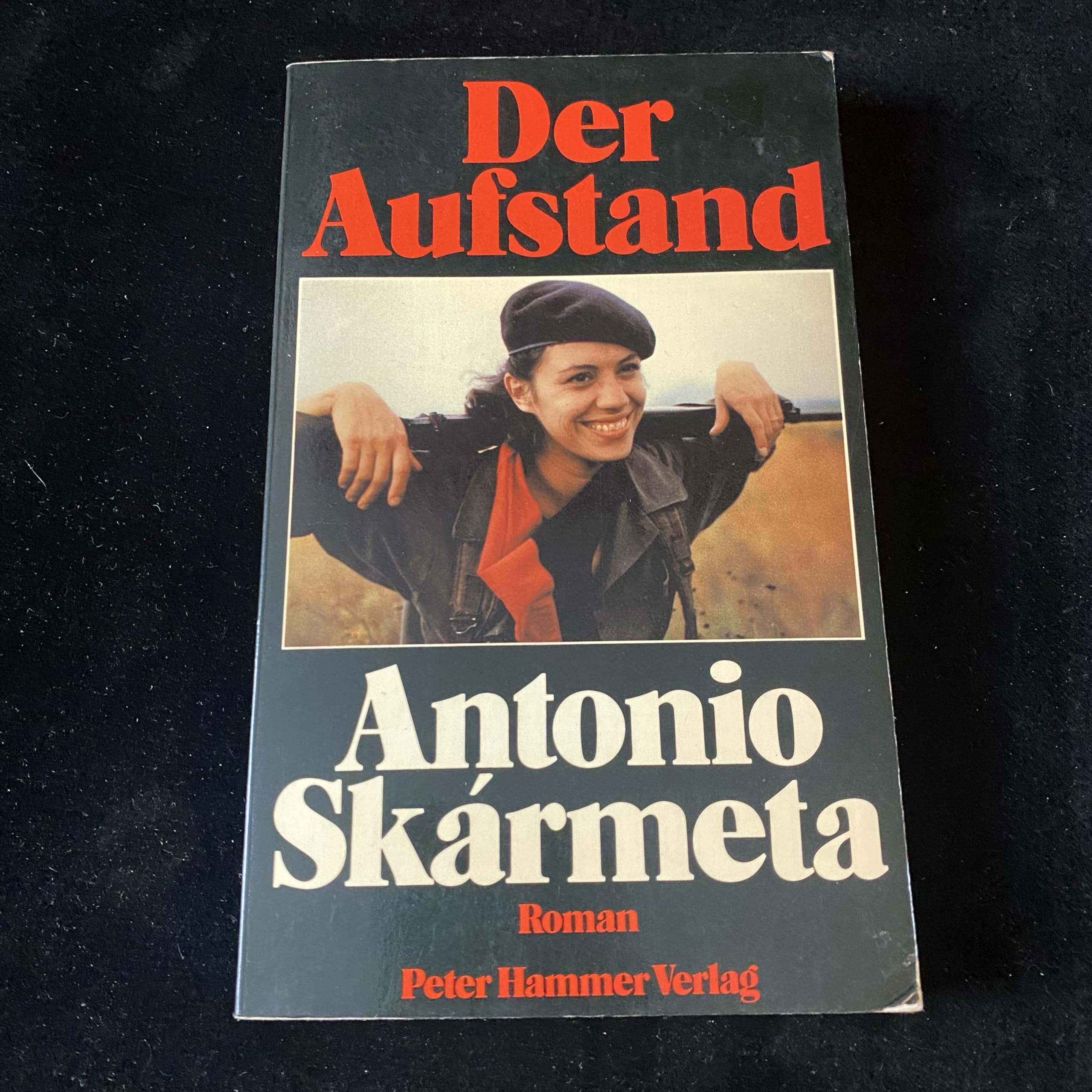Der Aufstand book