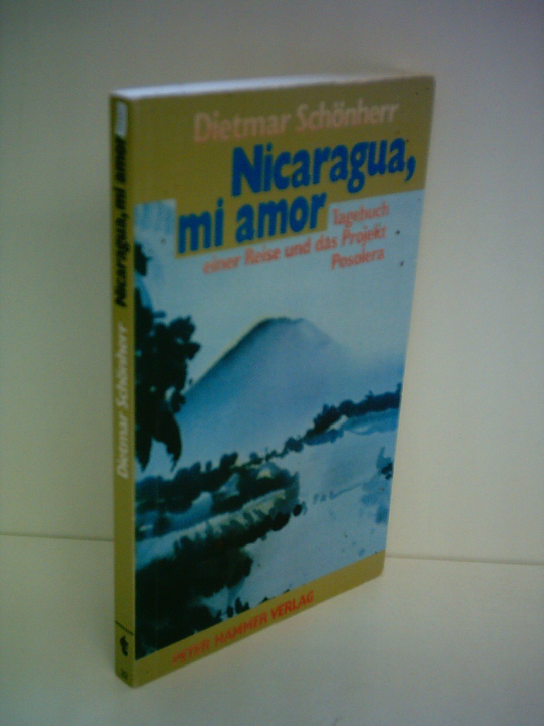 Nicaragua, mi amor: Tagebuch einer Reise und das Projekt Posolera Memories