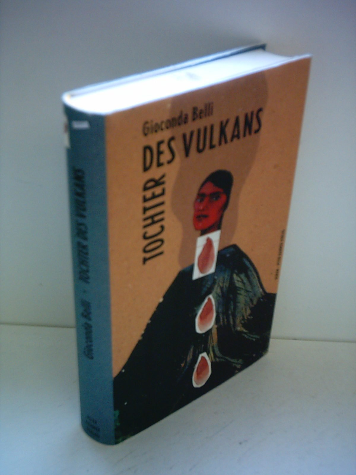 Tochter des Vulkans: Roman Contemporary literature