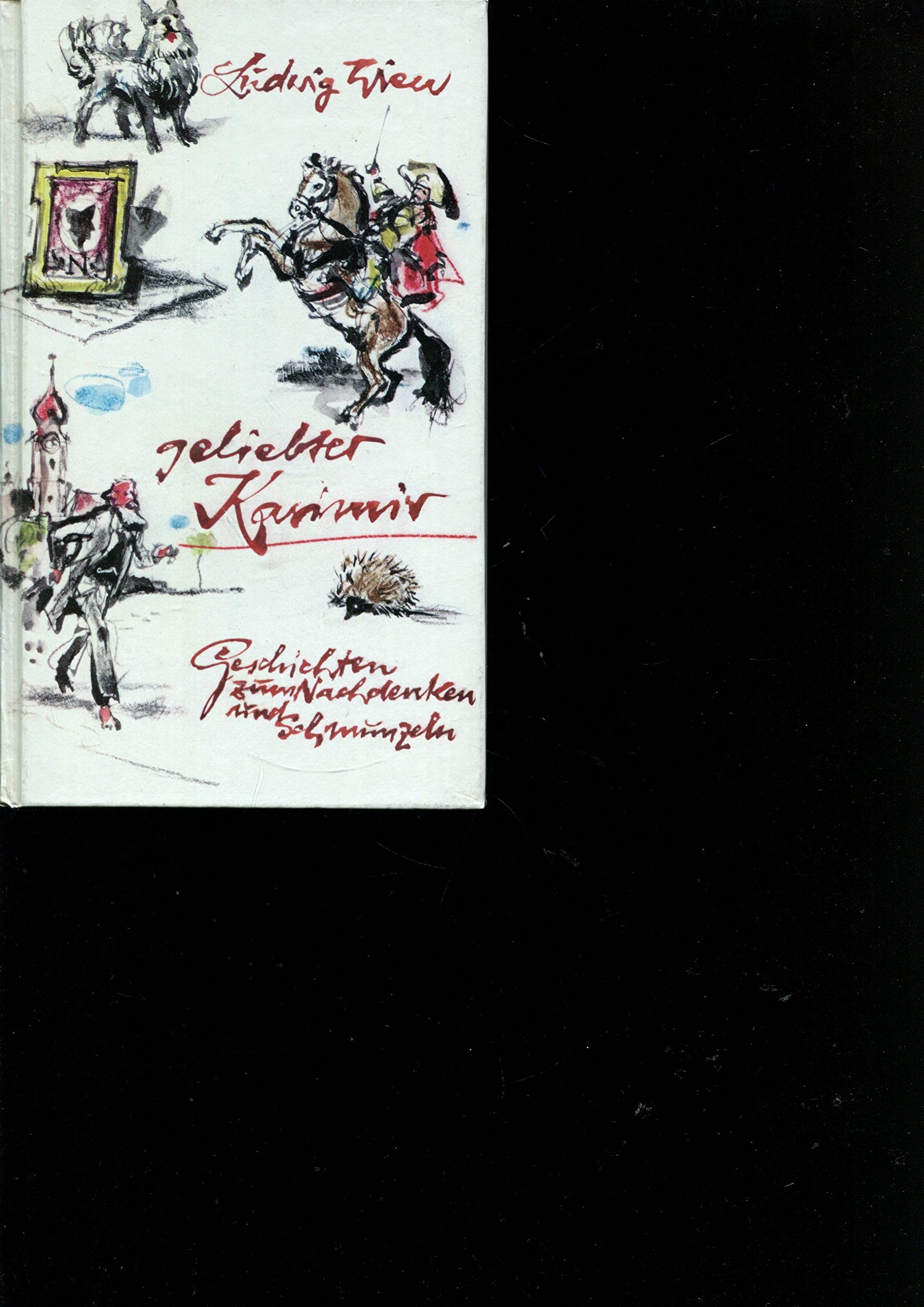 Geliebter Kasimir : Books