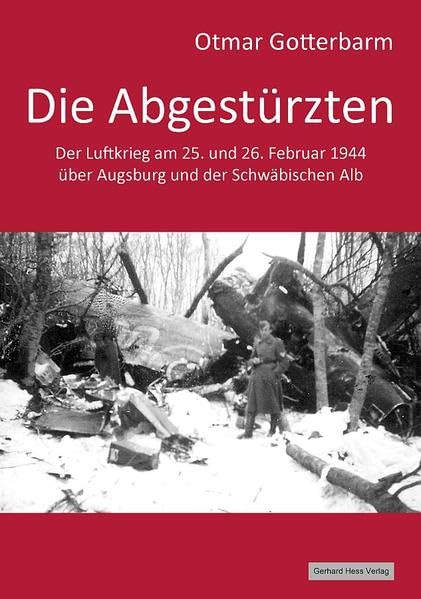 Die Abgestürzten: Der Luftkrieg am 25. und 26. Februar 1944 über Augsburg und der Schwäbischen Alb Politics & History