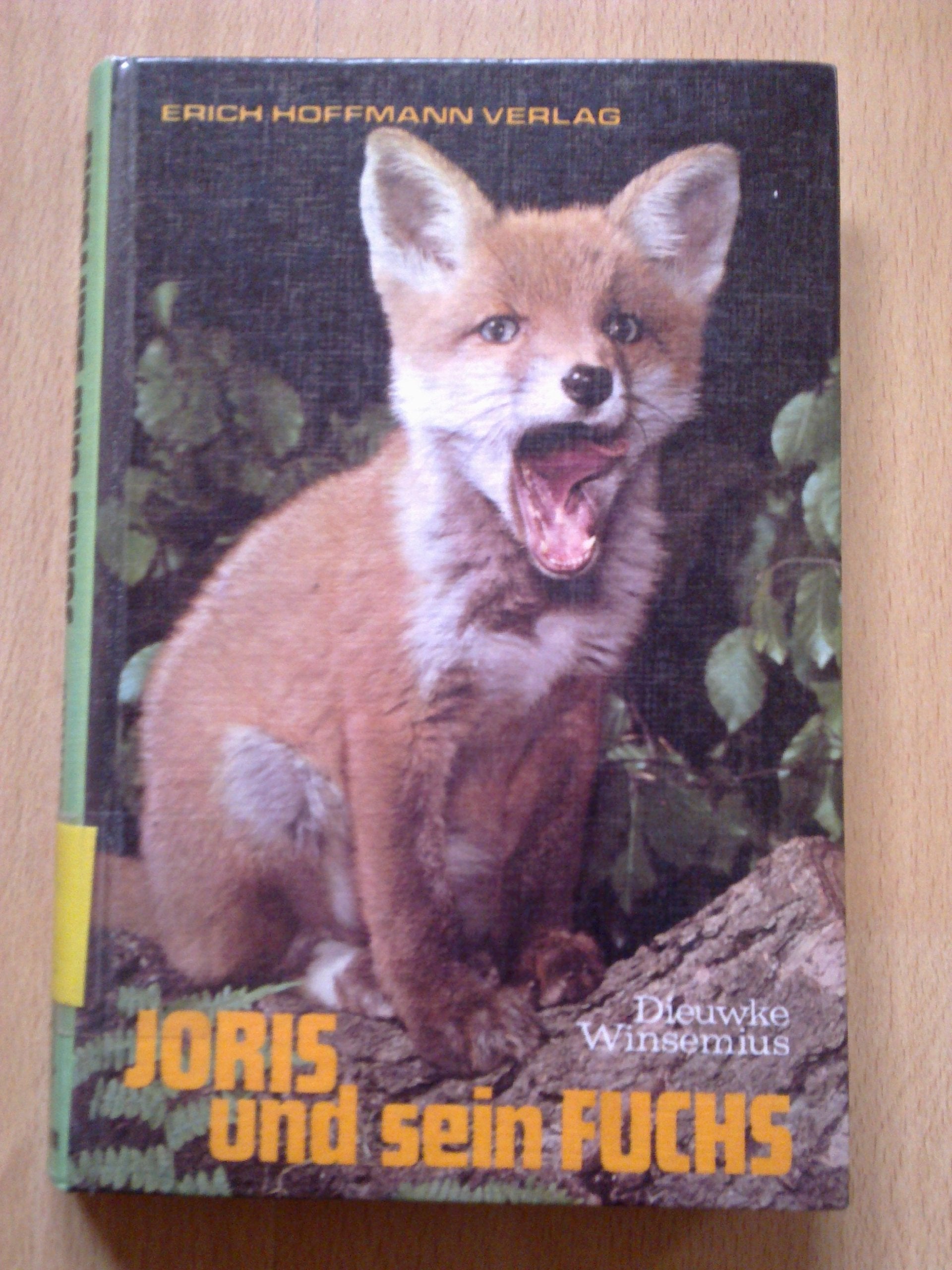 Joris und sein Fuchs Books