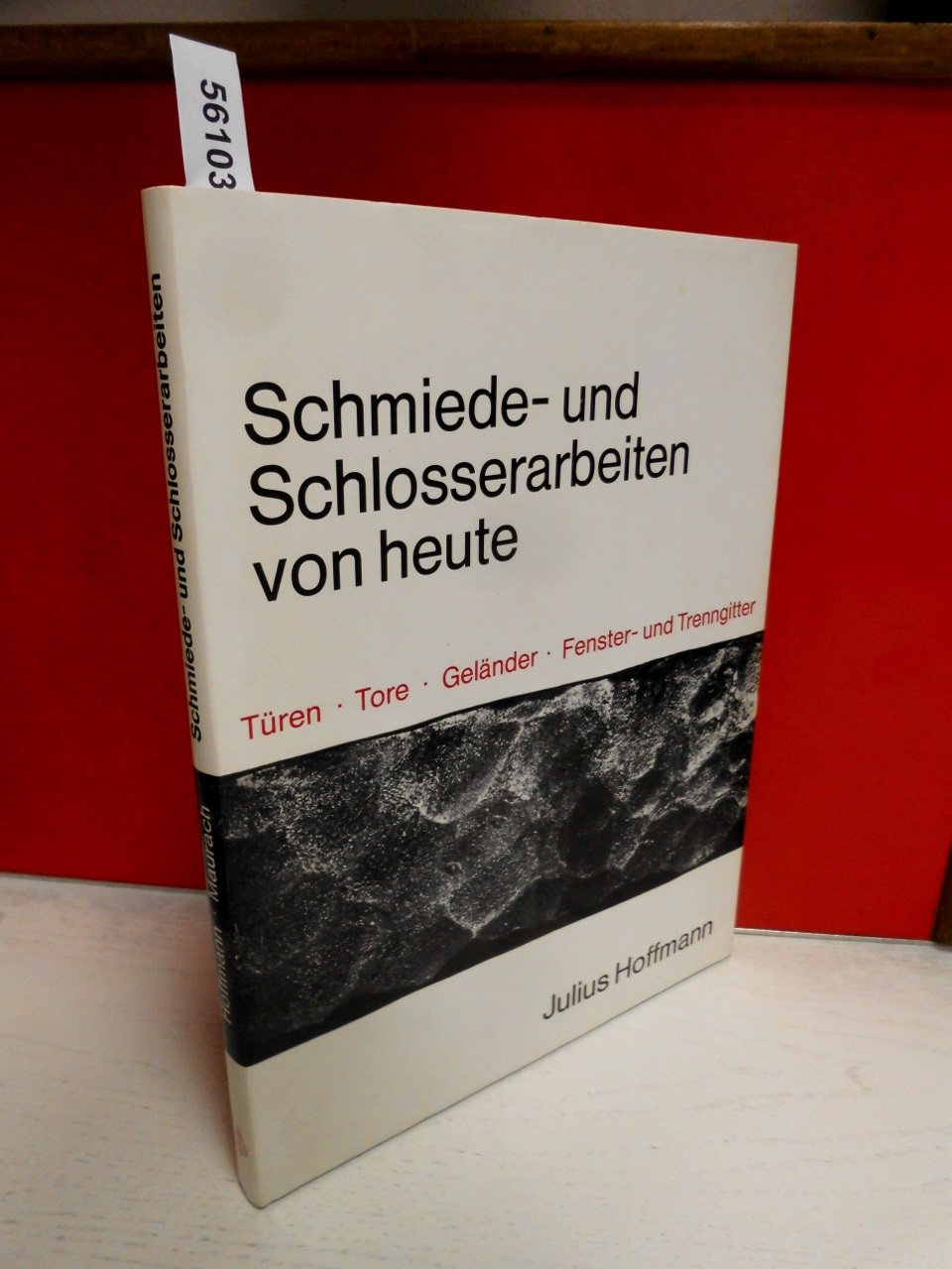 Schmiede- und Schlosserarbeiten von heute. Türen - Tore - Geländer - Fenster- und Trenngitter Books