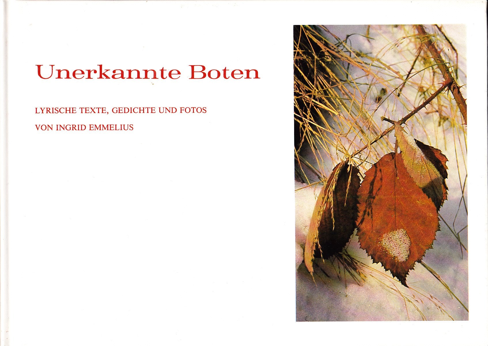 Unerkannte Boten: Lyrische Texte, Gedichte und Fotos Books