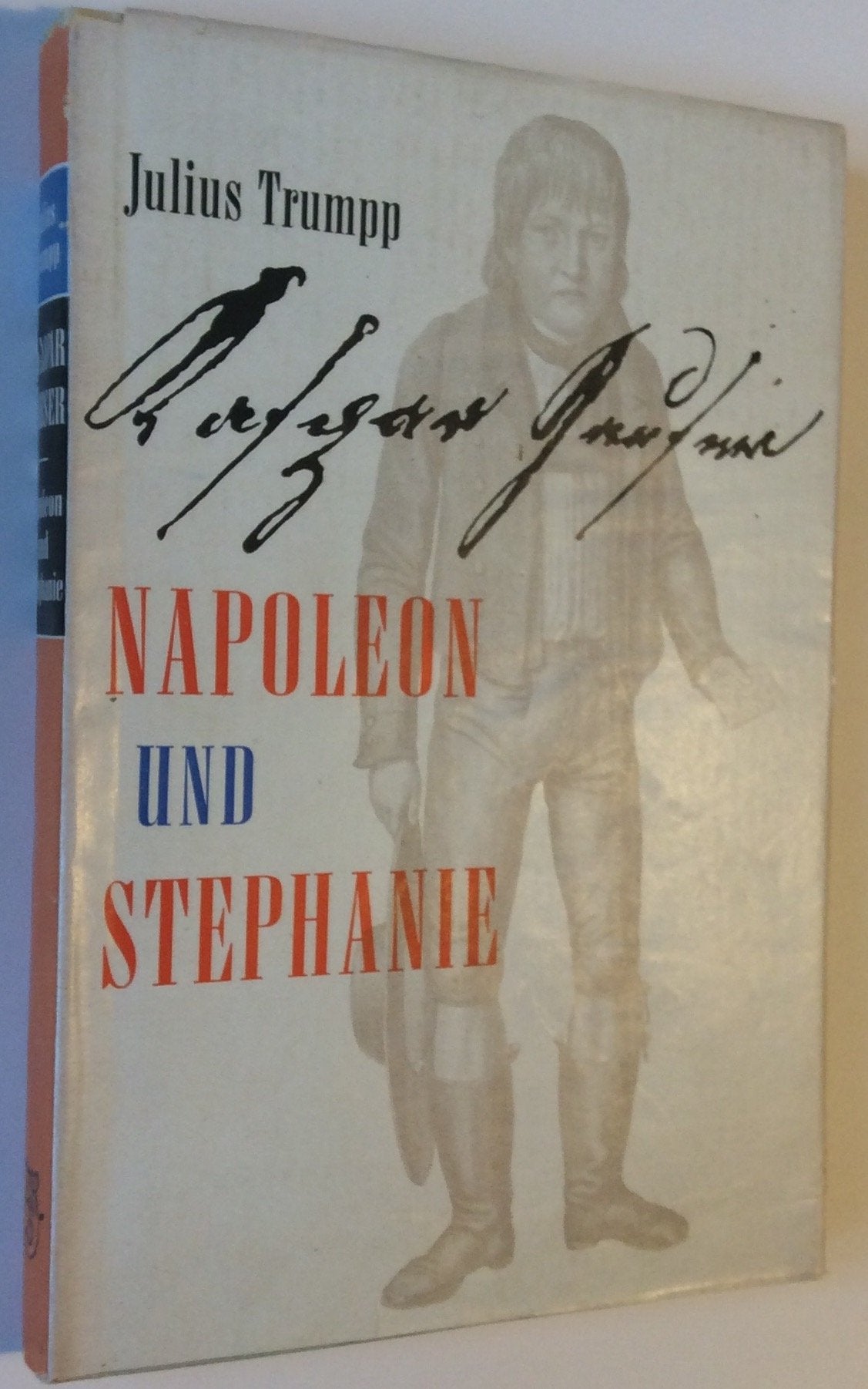 Kaspar Hauser - Napoleon und Stephanie: Napoleon und Stephanie. Der Tatsachenbericht Memories