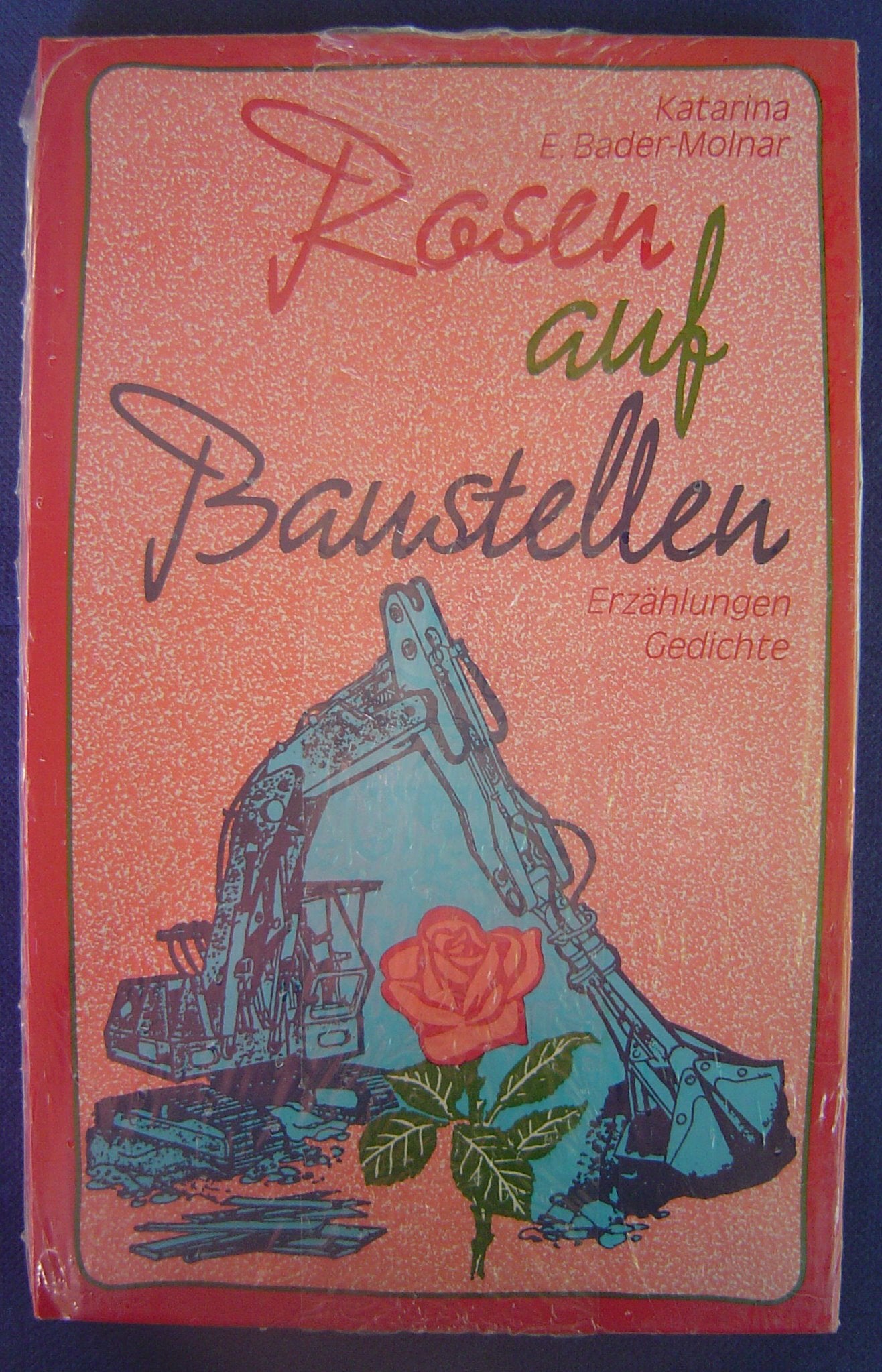 Rosen auf Baustellen: Erzählungen - Gedichte Books