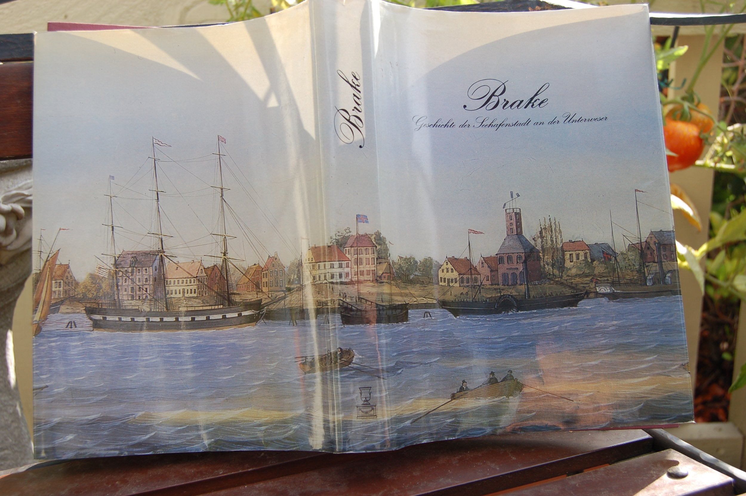 Barke- Geschichte der Seehafenstadt an der Unterweser book