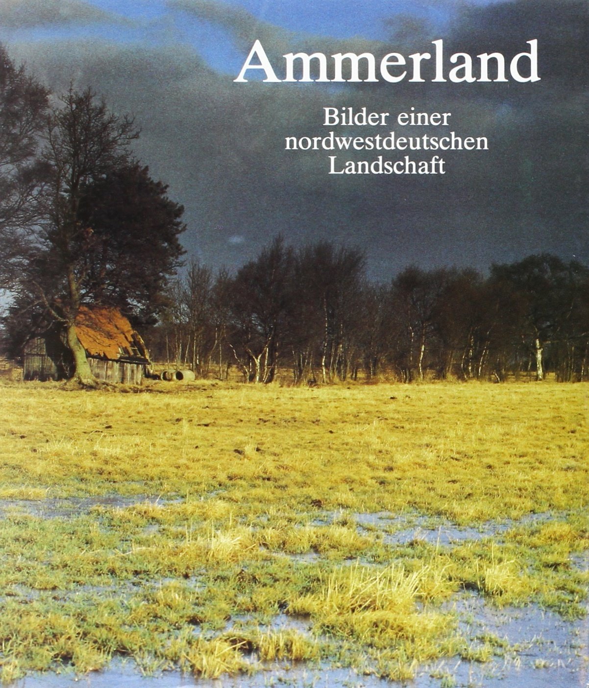 Ammerland: Bilder einer nordwestdeutschen Landschaft Leisure, Home & Garden