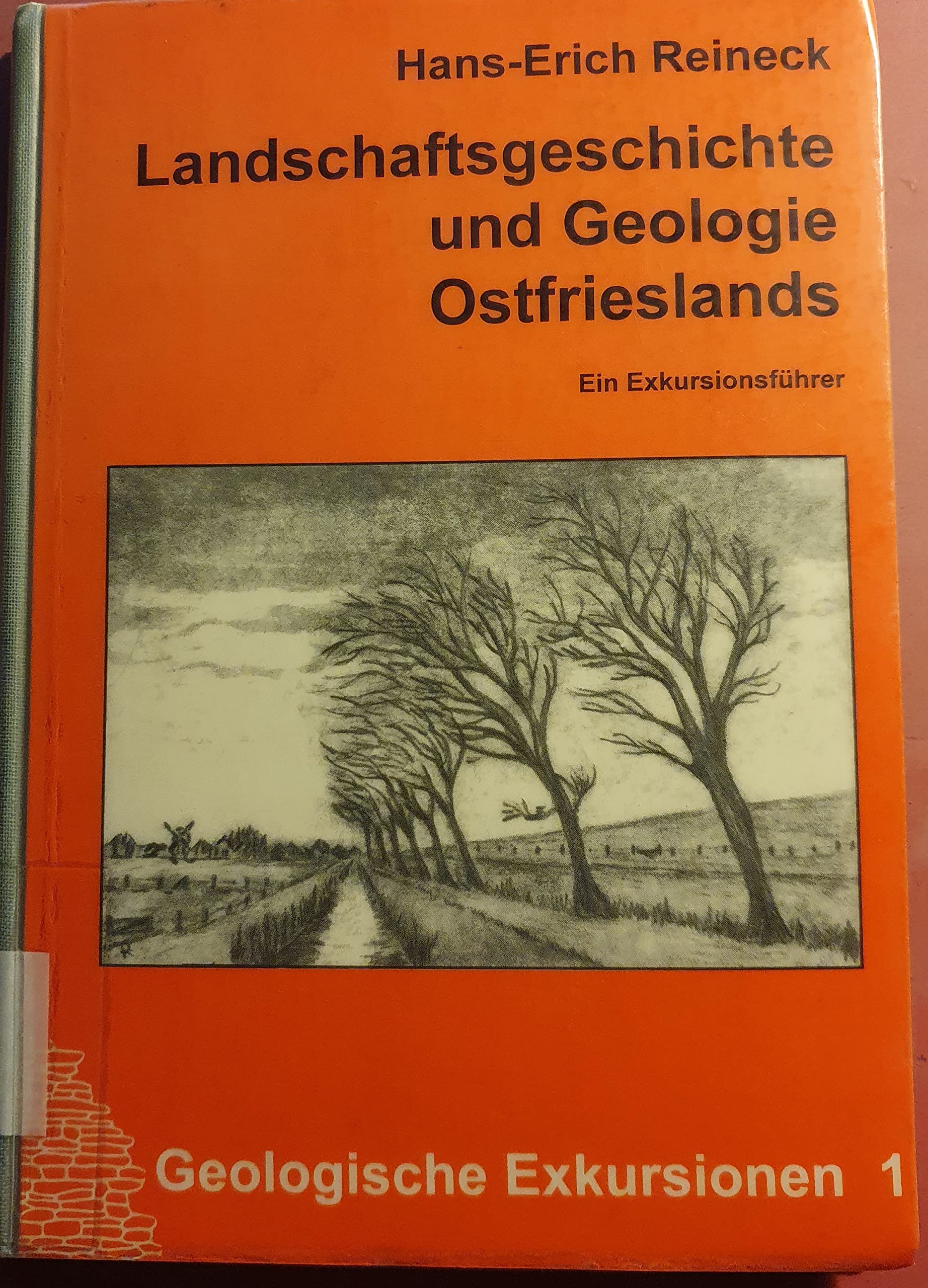 Landschaftsgeschichte und Geologie Ostfrieslands: Ein Wanderführer für Geowissenschaftler und Naturfreunde durch Ostfriesland und das Wattenmeer Business & Technology