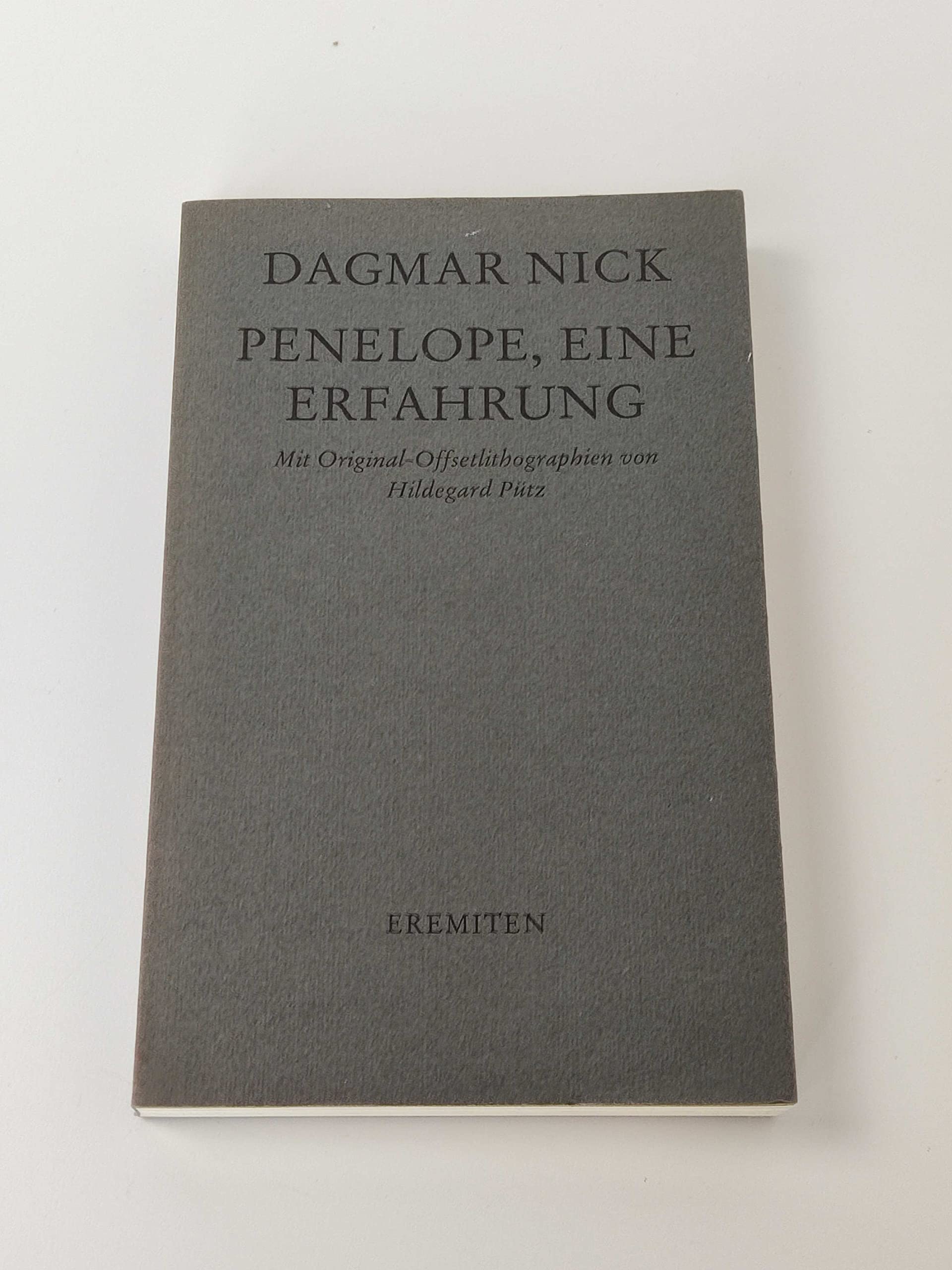 Penelope, eine Erfahrung Contemporary literature Books