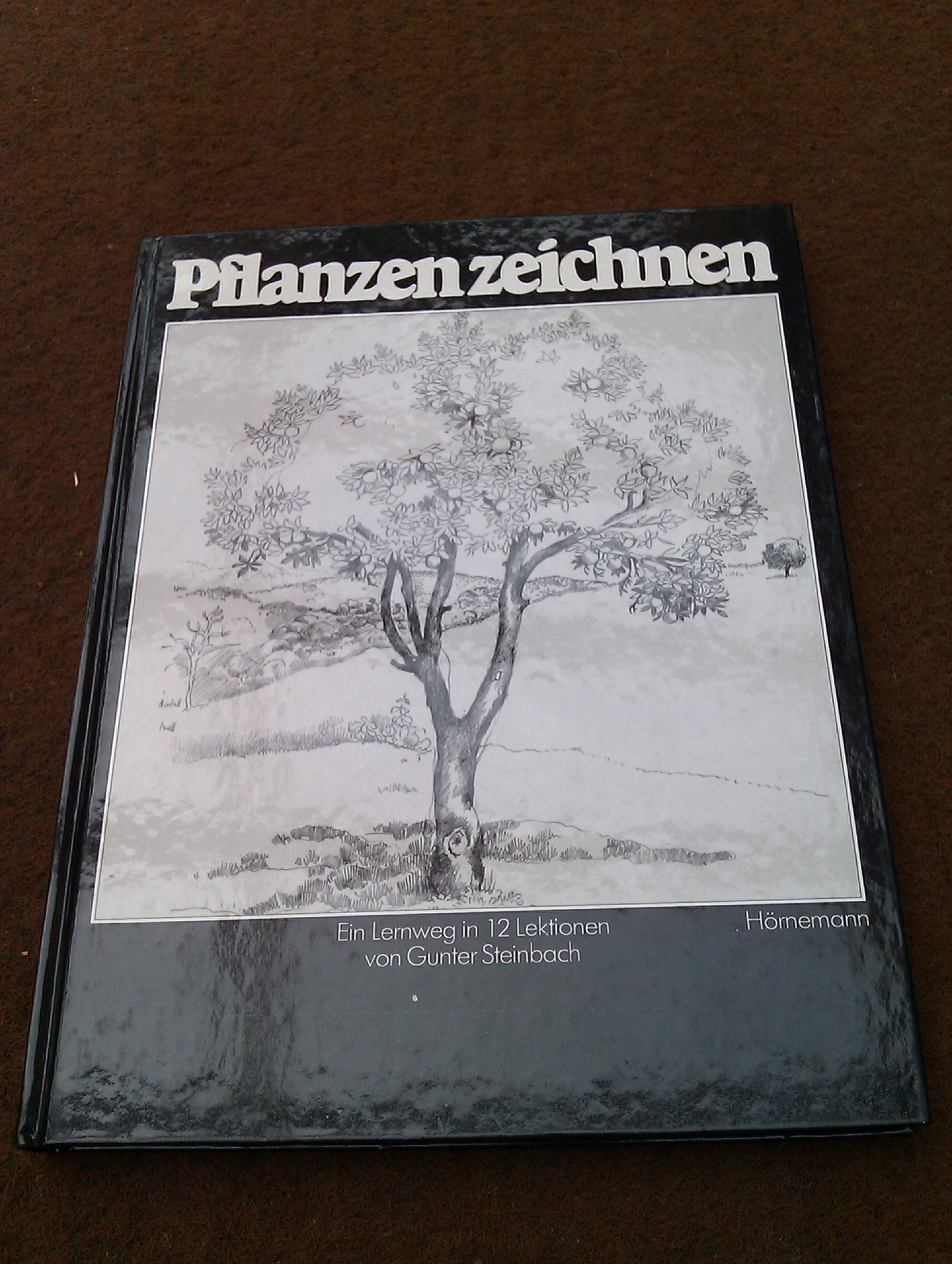 Pflanzen zeichnen. Ein Lernweg in 12 Lektionen Leisure, Home & Garden