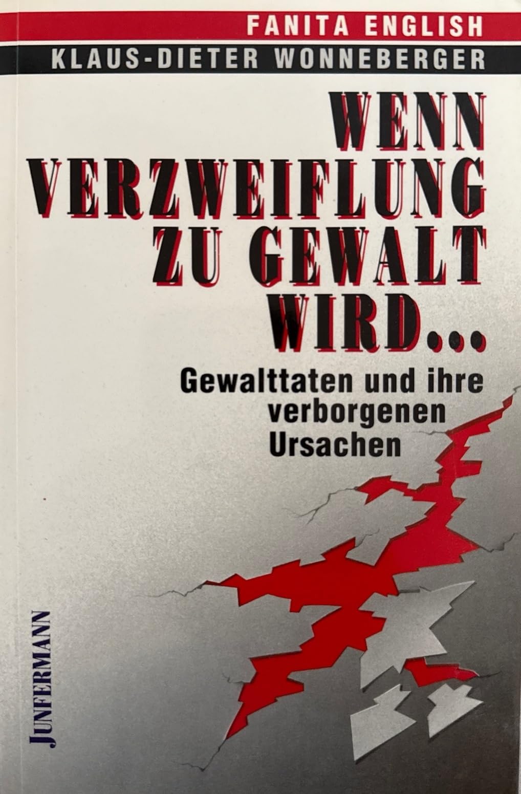 Wenn Verzweiflung zu Gewalt wird...: Gewalttaten und ihre verborgenen Ursachen Social Sciences