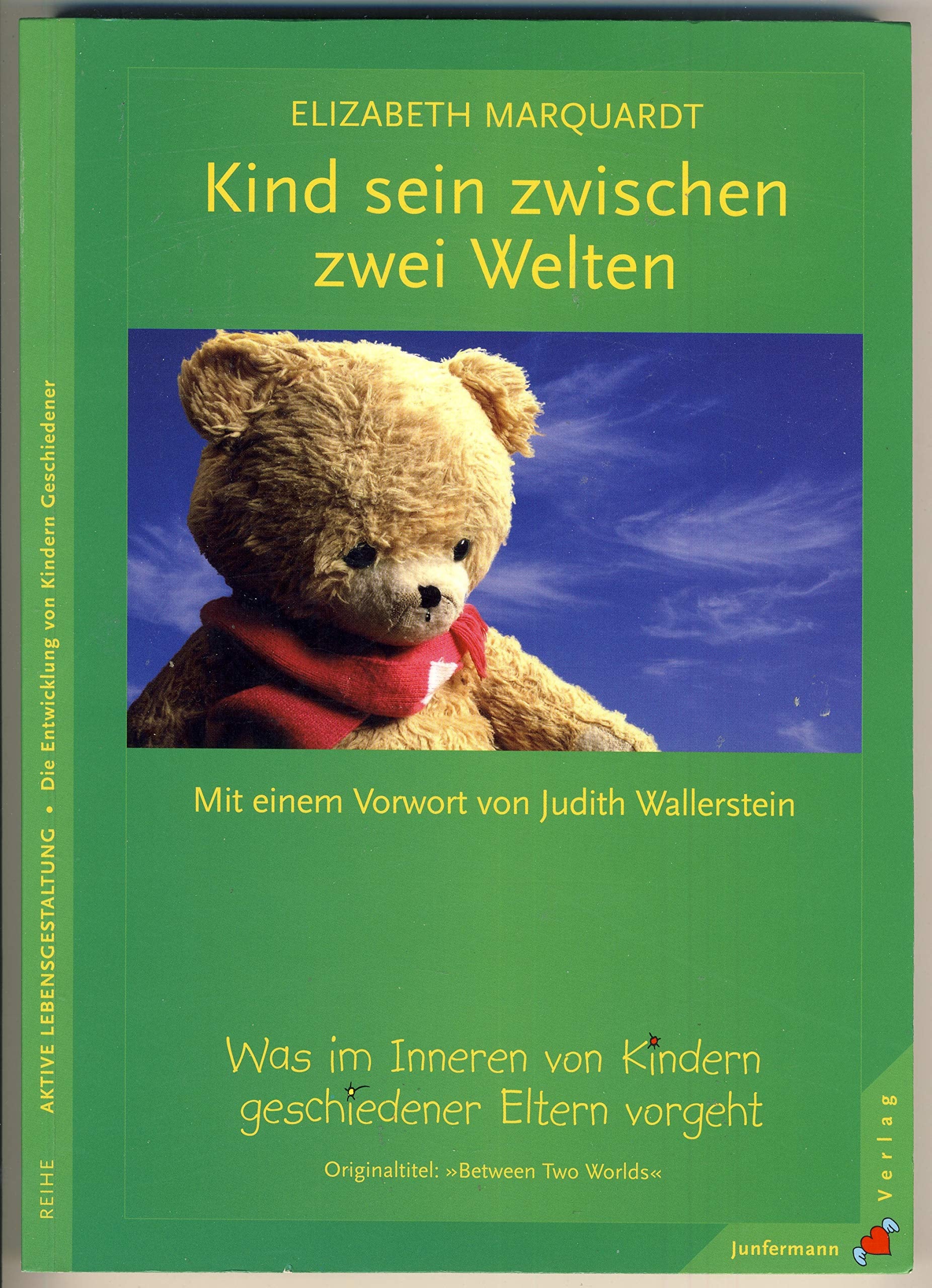 Kind sein zwischen zwei Welten book