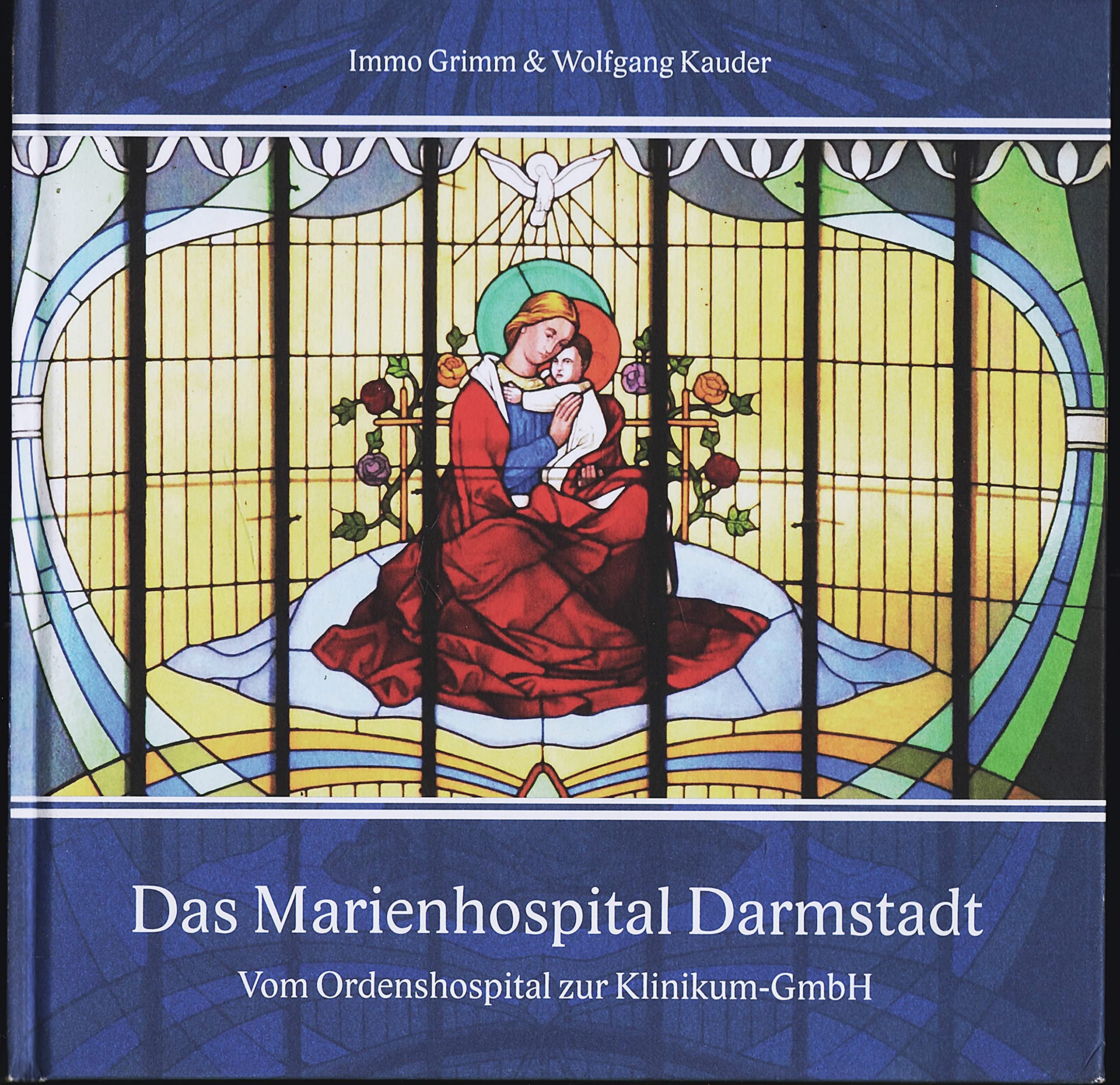 Das Marienhospital Darmstadt: Vom Ordenshospital zur Klinikum-GmbH Books
