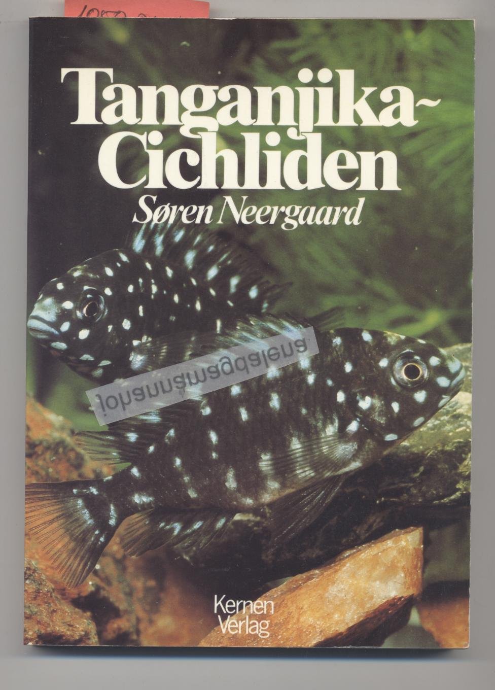 Product Image: Tanganjika-Cichliden
