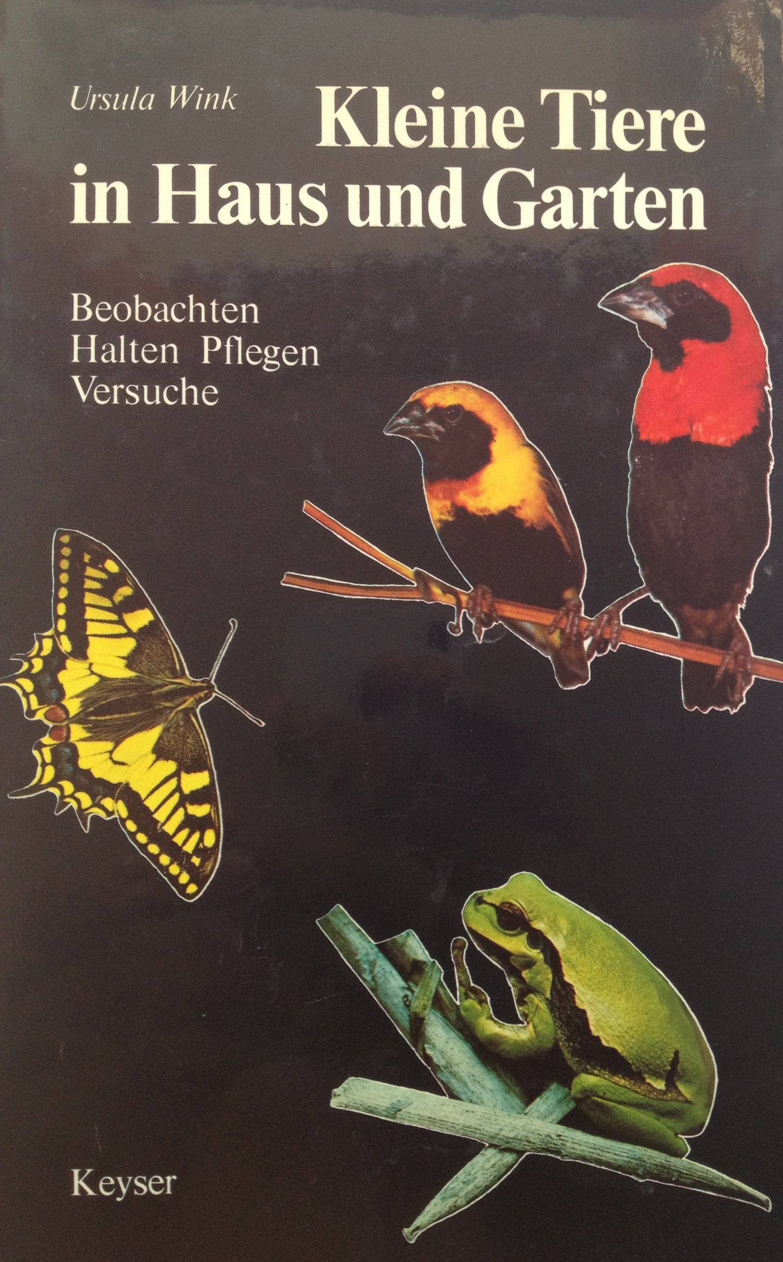 Kleine Tiere in Haus und Garten. Beobachten, Halten und Pflegen, Versuche Leisure, Home & Garden
