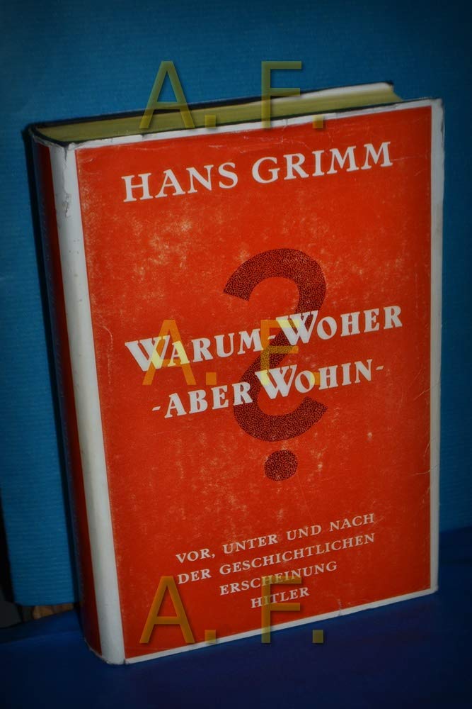 Warum - woher - aber wohin?: Vor, unter und nach der geschichtlichen Erscheinung Hitler Memories