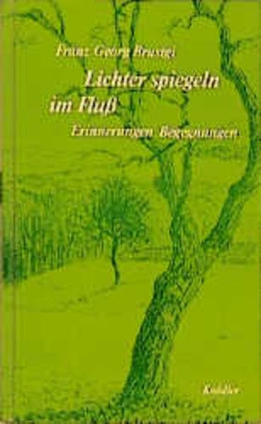 Lichter spiegeln im Fluß Contemporary literature