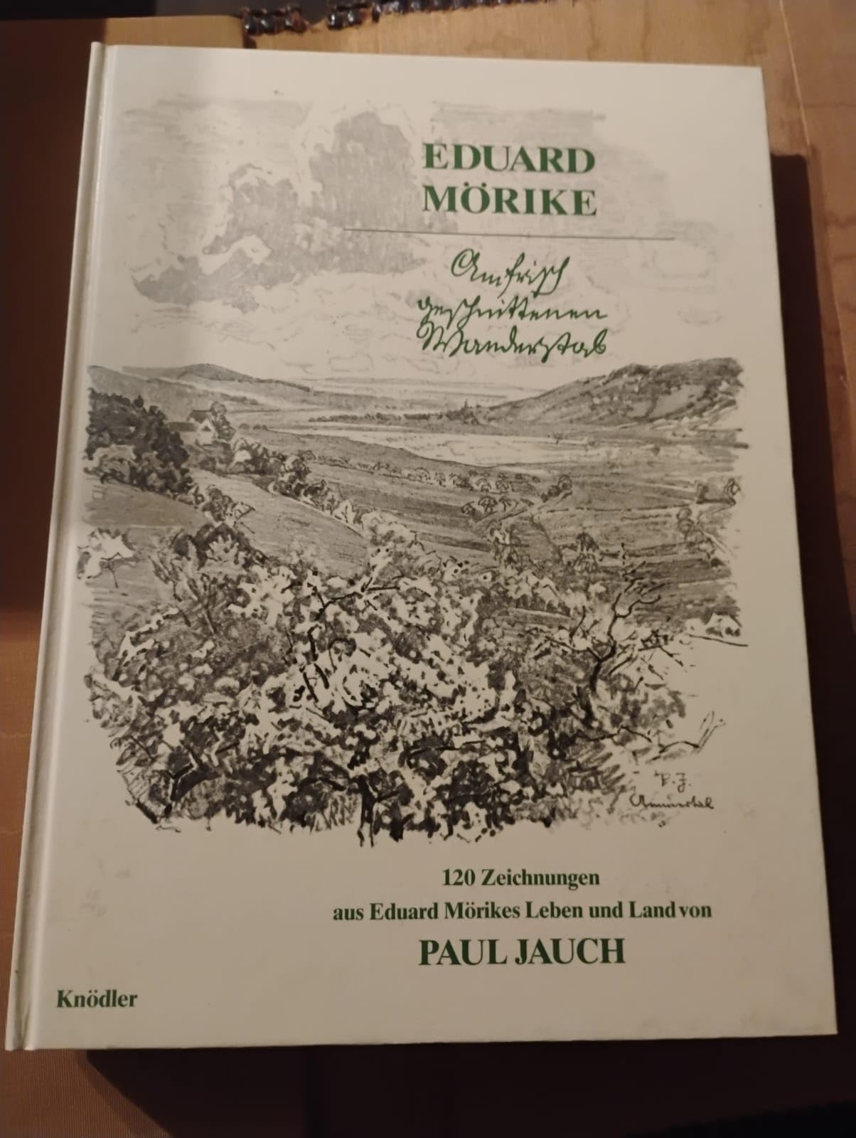 Am frisch geschnittenen Wanderstab: Durch Eduard Mörikes Leben und Werk Politics & Society