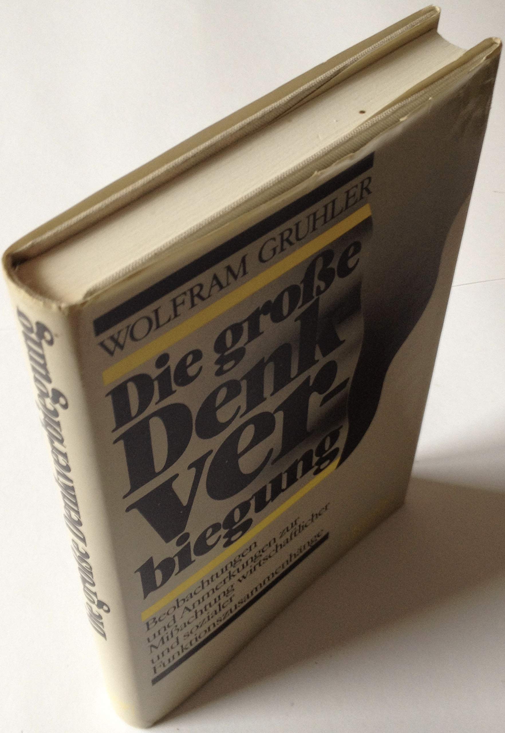 Die grosse Denkverbiegung. Beobachtungen und Anmerkungen zur Missachtung wirtschaftlicher und sozialer Funktionszusammenhänge Books