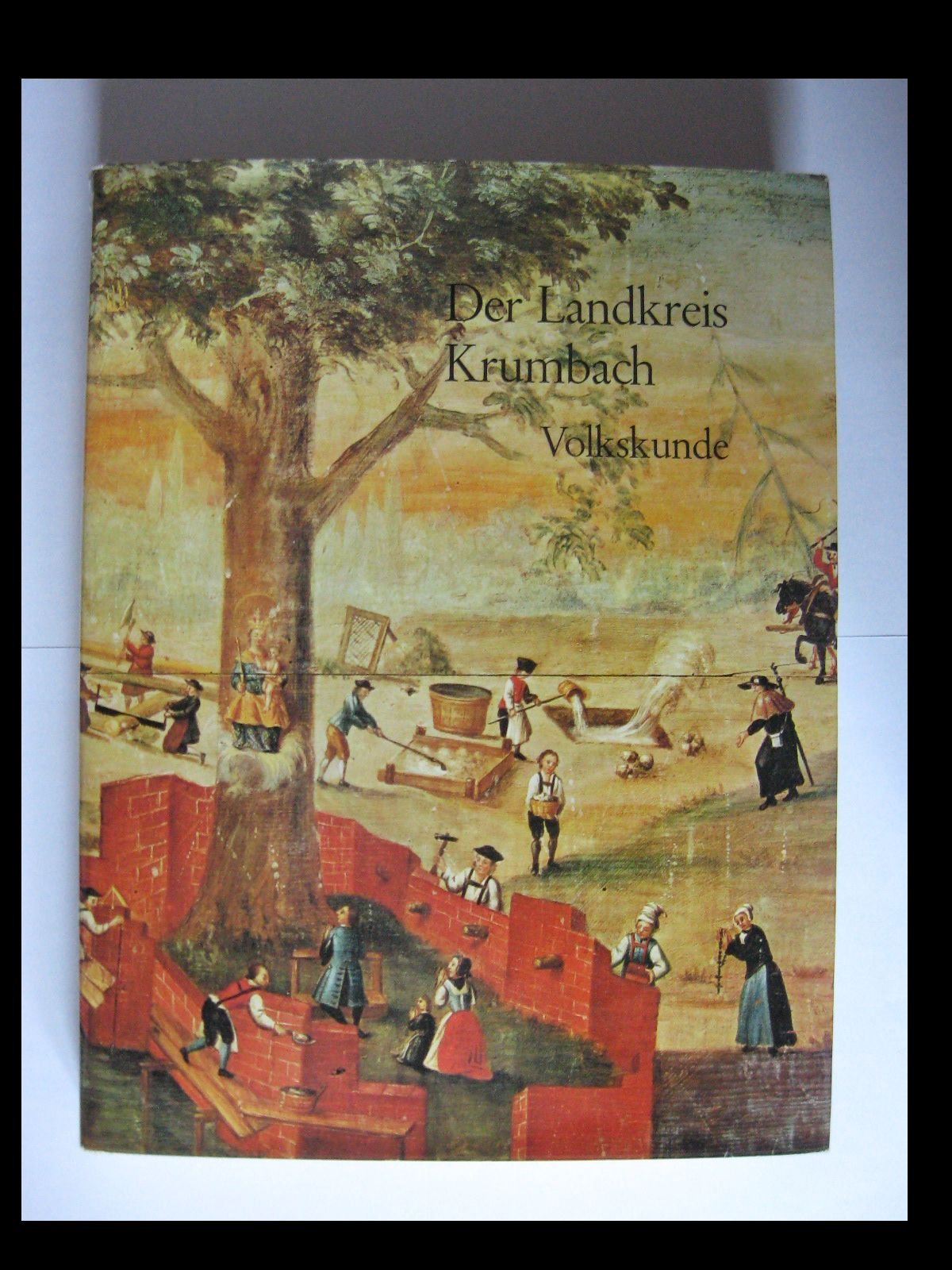 Der Landkreis Krumbach (Band 3 Volkskunde) Books