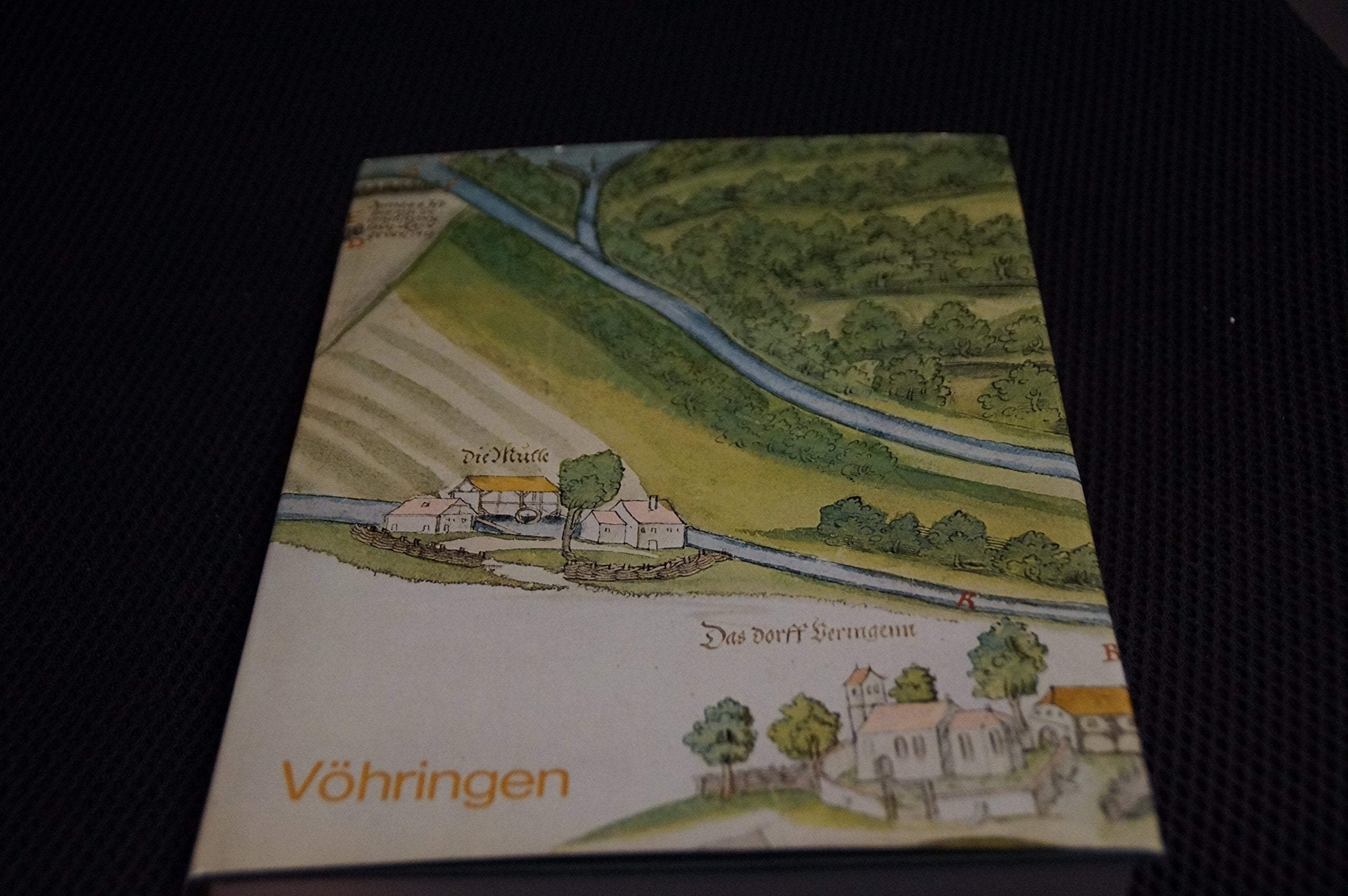 Vöhringen. Heimatbuch einer Gemeinde im unteren Illertal Books