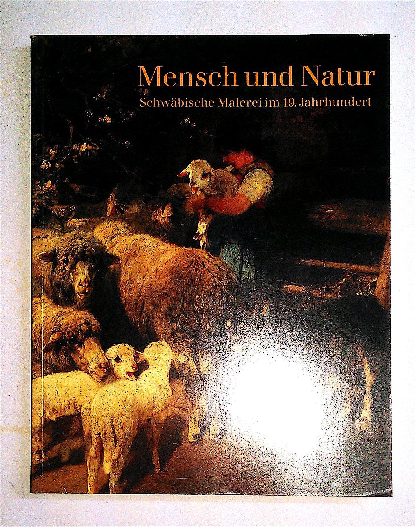 Mensch und Natur: Schwäbische Malerei im 19. Jahrhundert Books