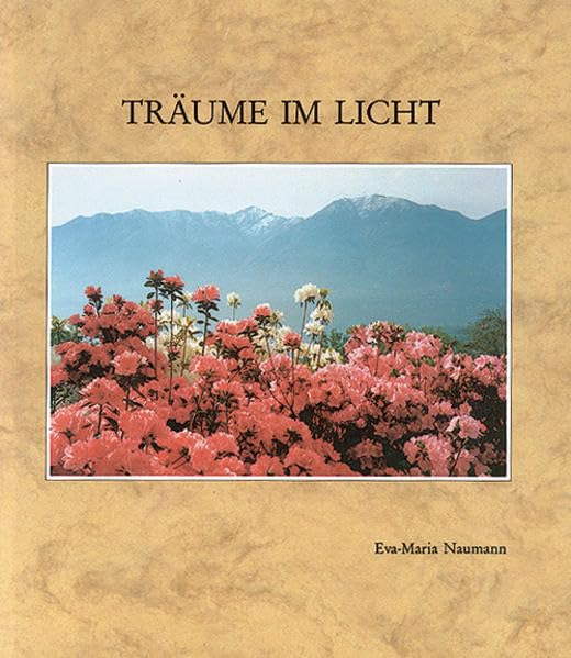 Träume im Licht Contemporary literature Books
