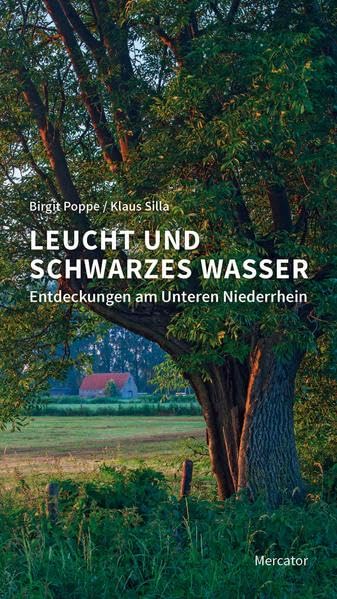 Leucht und Schwarzes Wasser Leisure, Home & Garden