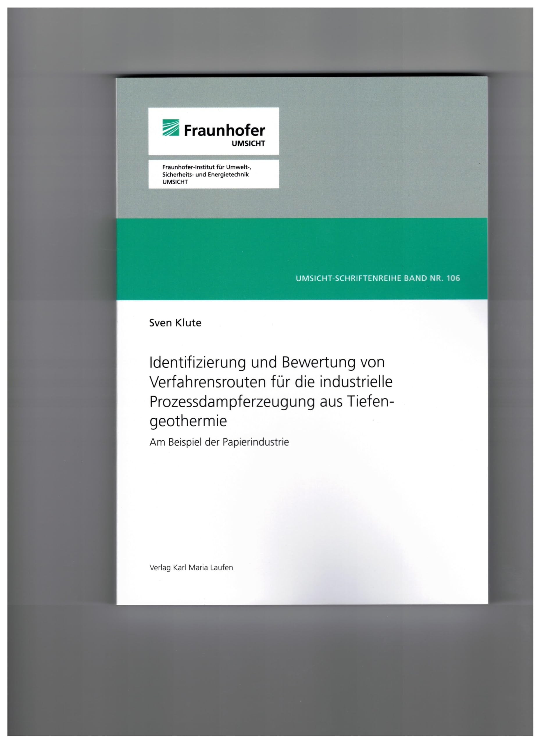 Identifizierung und Bewertung von Verfahrensrouten für die industrielle Prozessdampferzeugung aus Tiefengeothermie Business & Technology